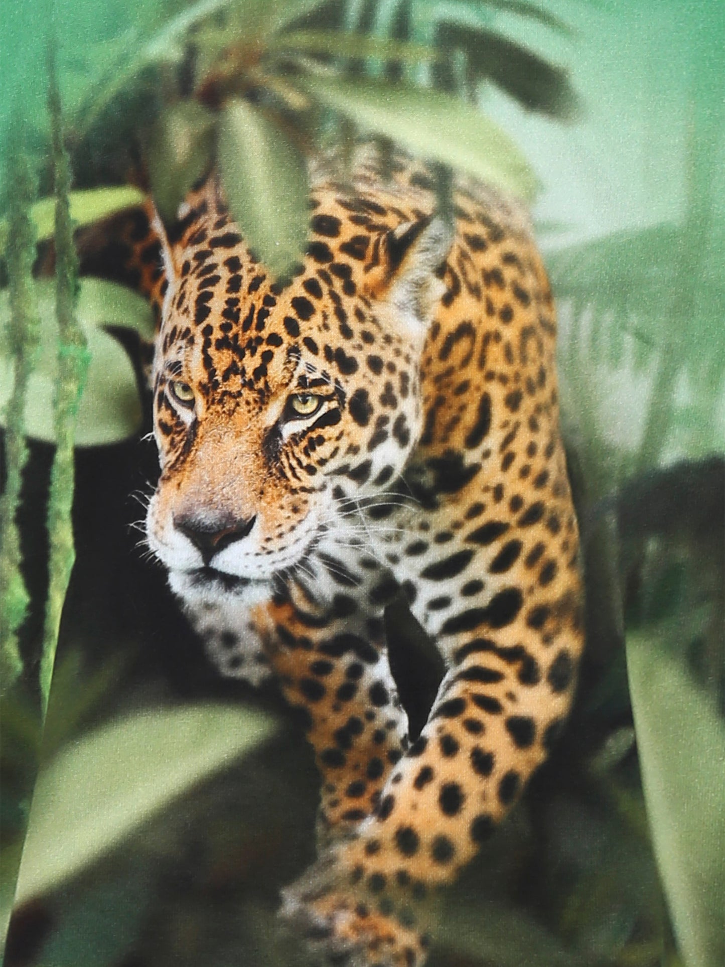 Green t-shirt for boy with dinosaur print