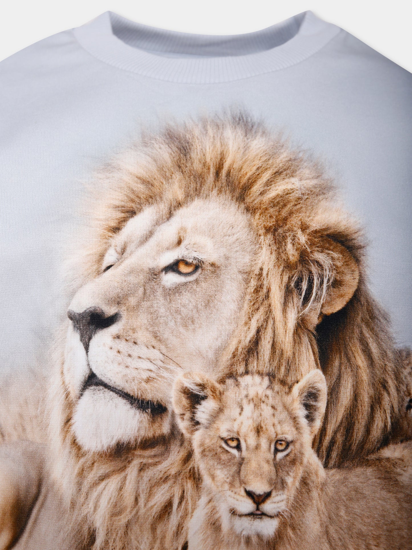 Felpa Miksi beige per bambino con leoni,Molo,1W25J209 9656