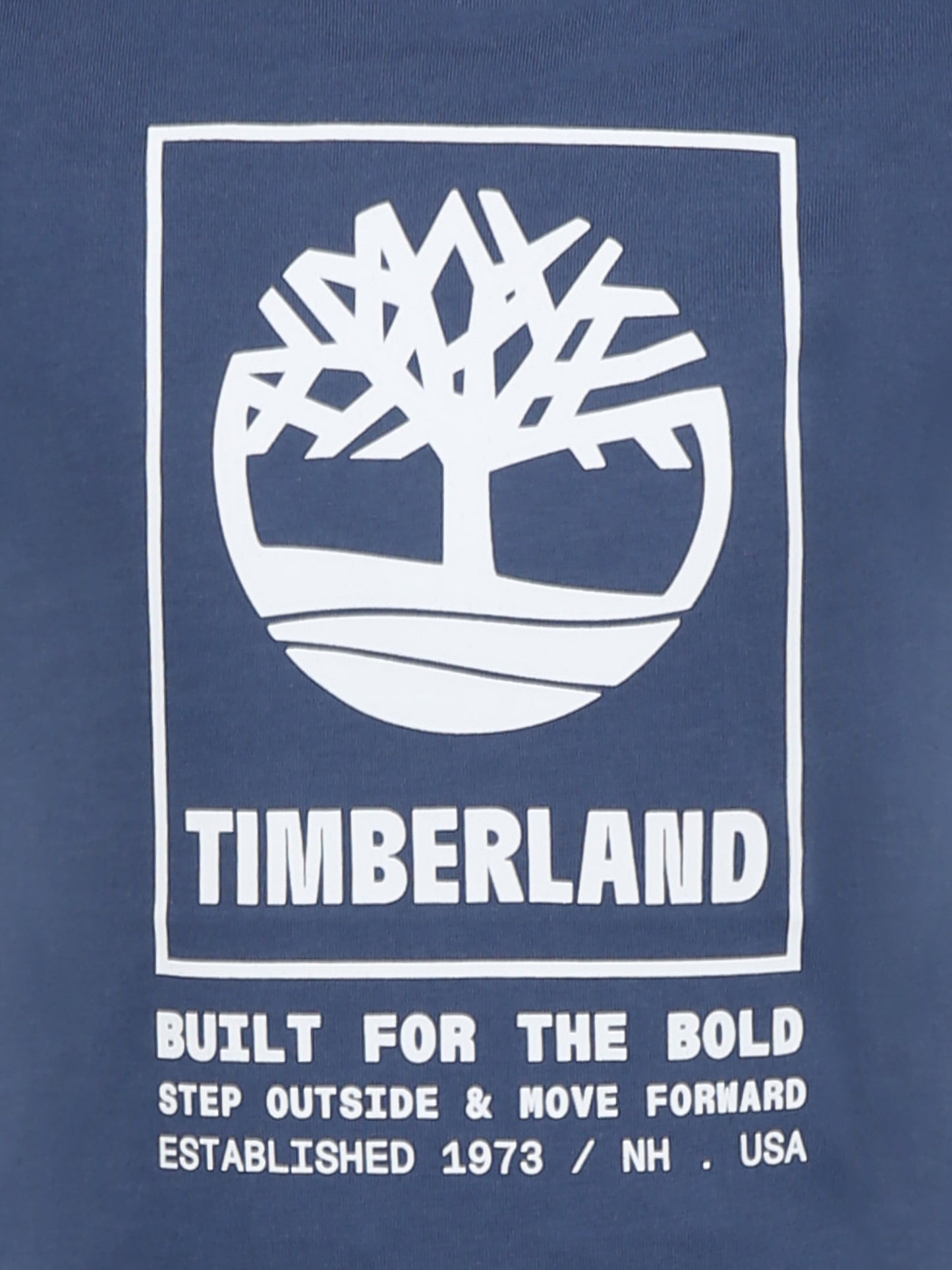 T-shirt blu per bambino con logo,Timberland,T60082 82H