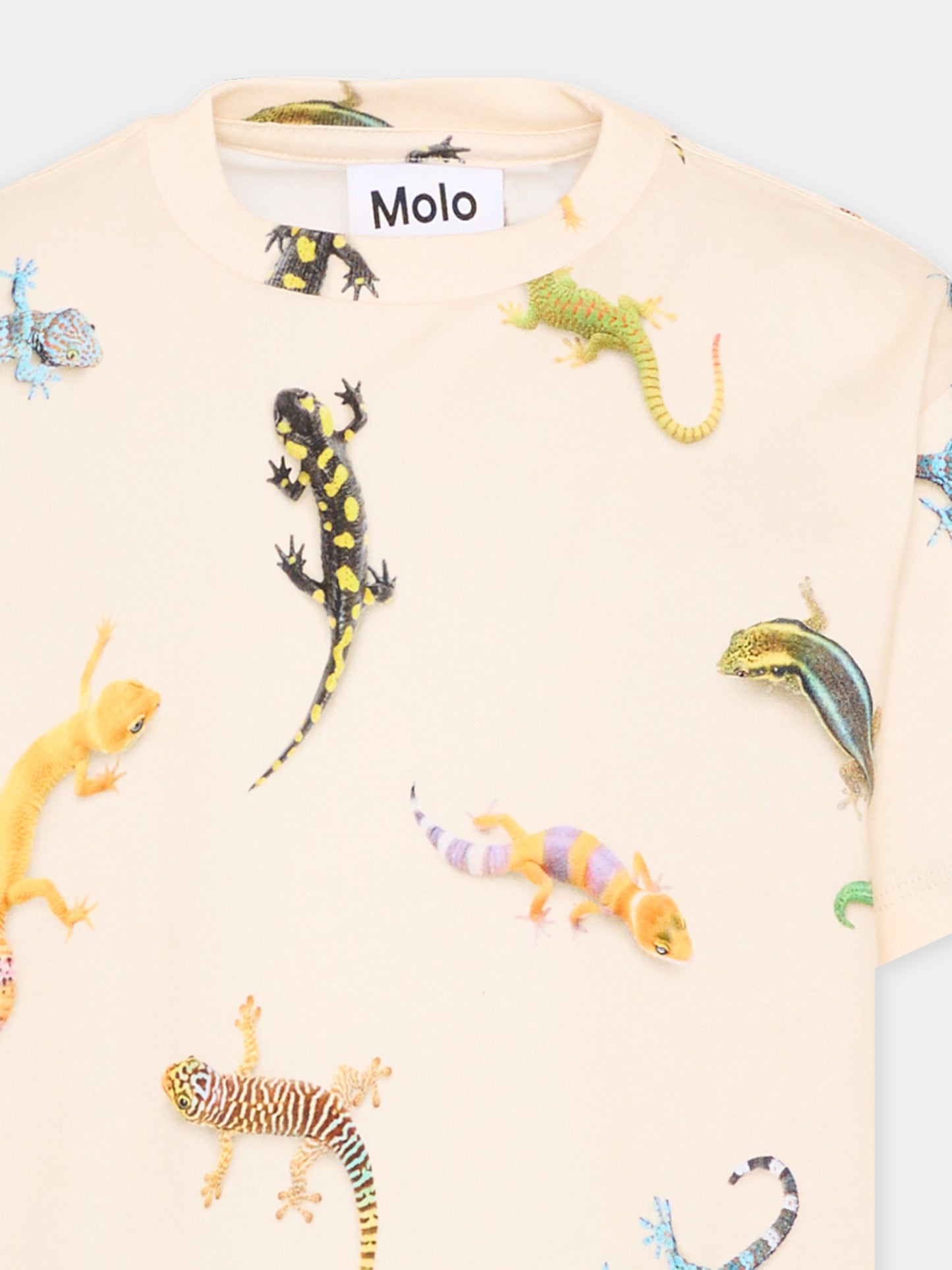 T-shirt multicolor Riley per bambino con gechi,Molo,1S26A208 9551