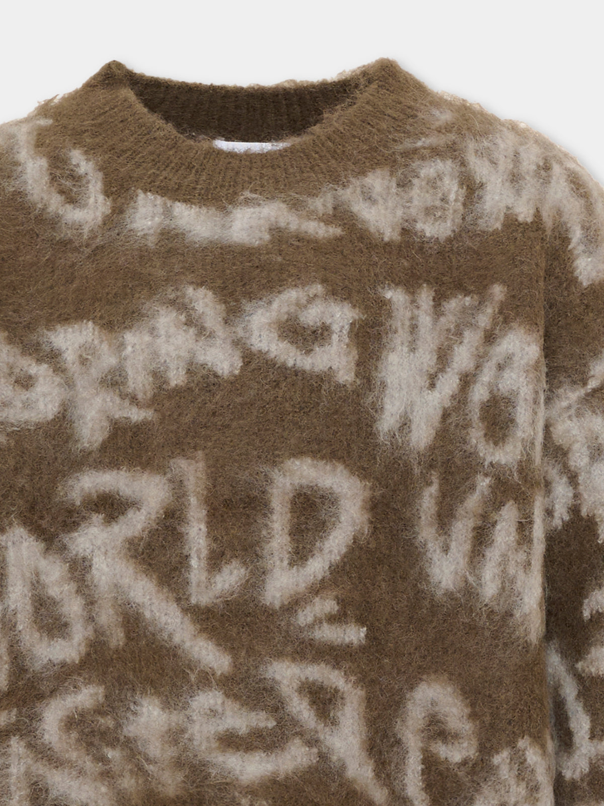 Maglione marrone Brian per bambino con scritte,Molo,1W26K202 6261