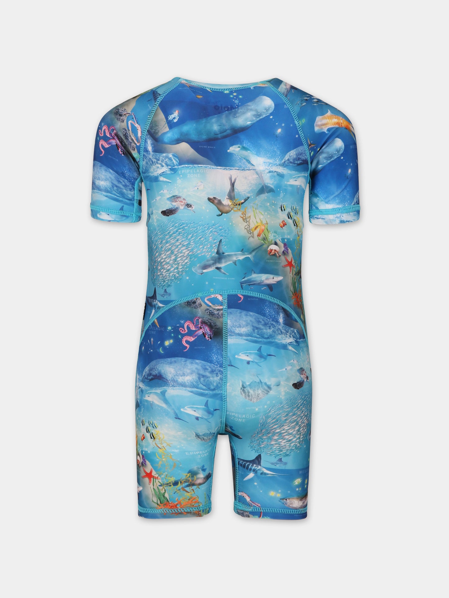 Costume anti UV azzurro per bambino con animali marini,Molo,8S24P609 9001