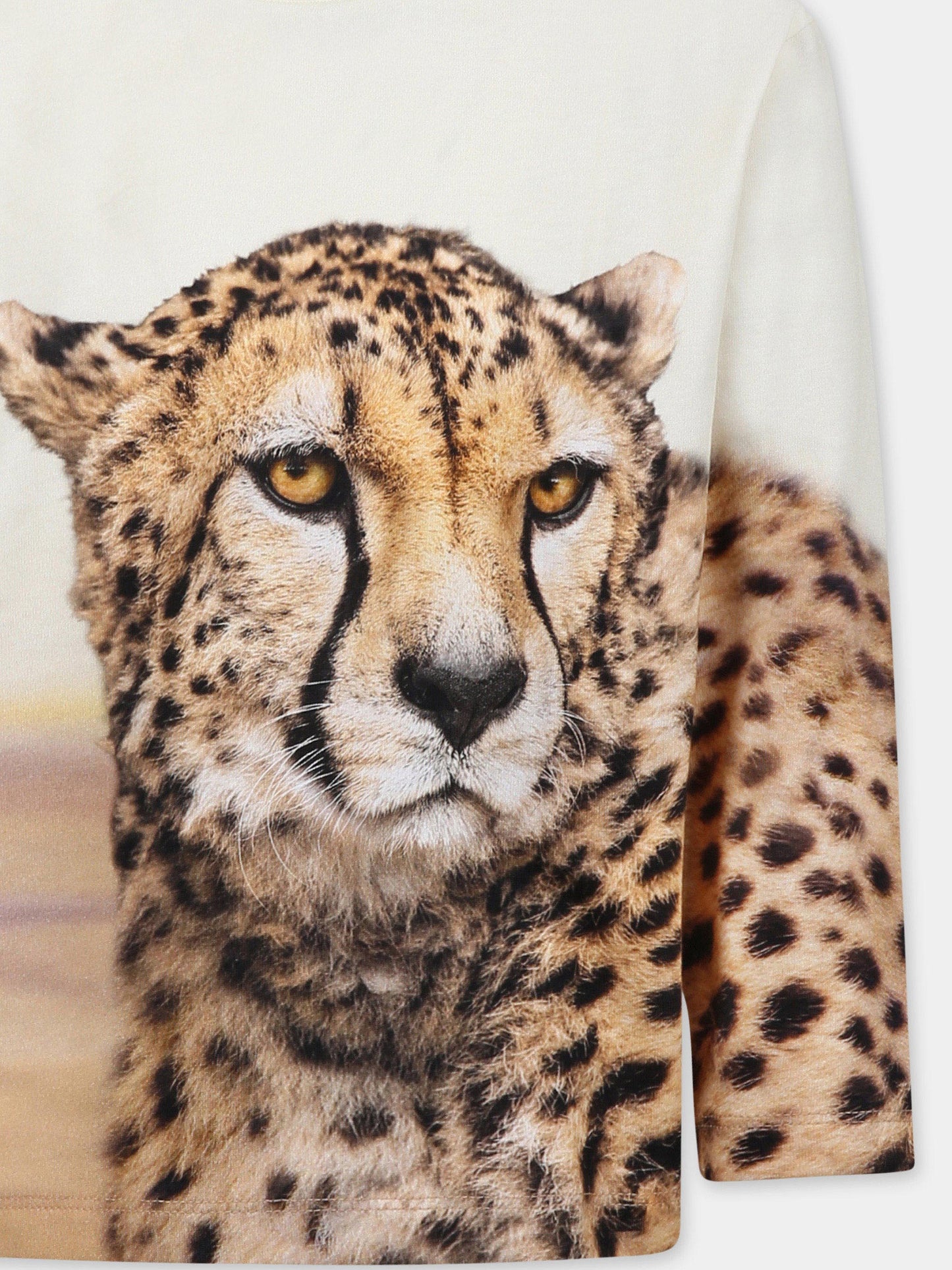 T-shirt avorio Rollo per bambino con ghepardo,Molo,1S25A401 3819