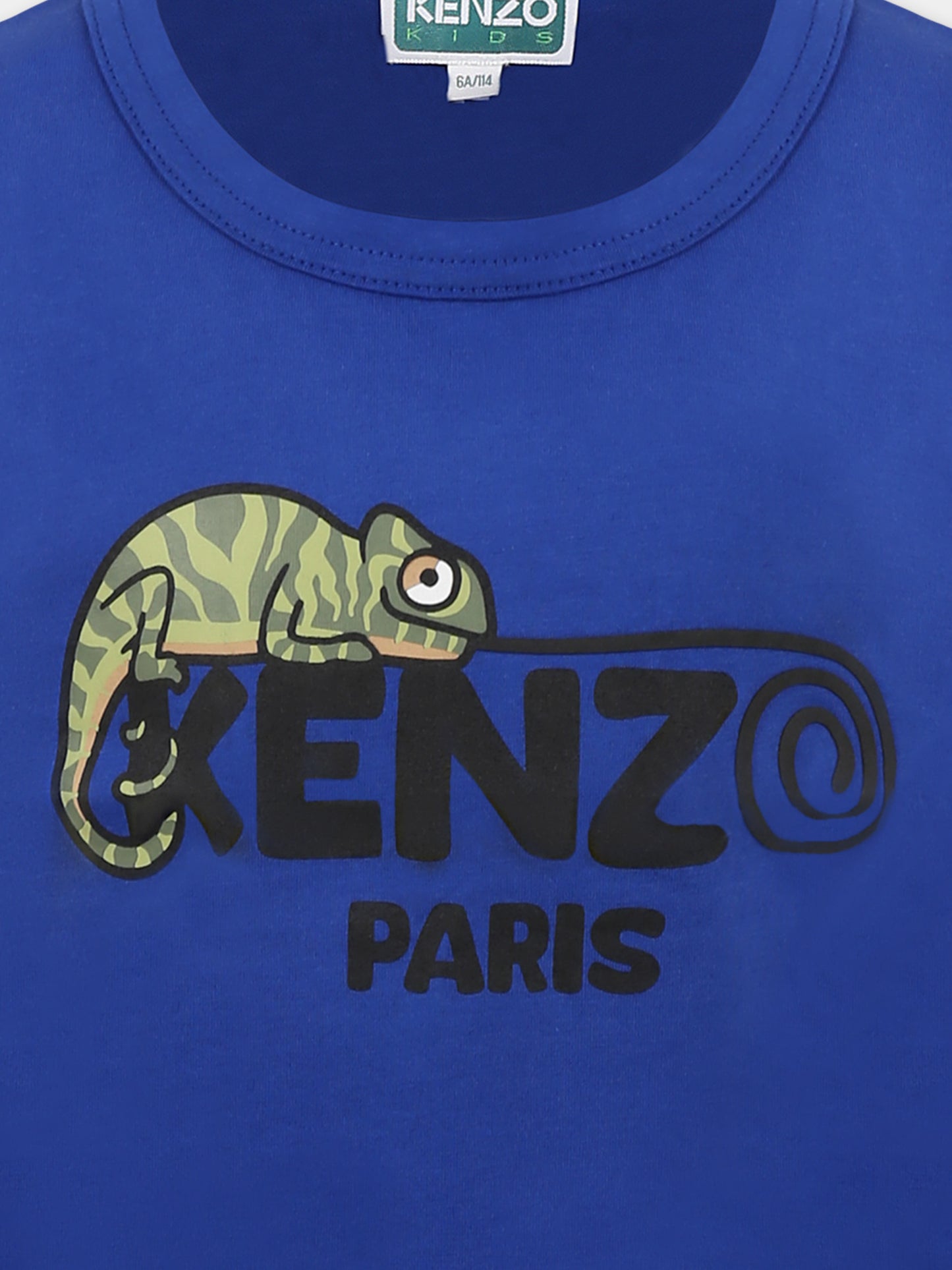 Blue tank top for boy with gecko
