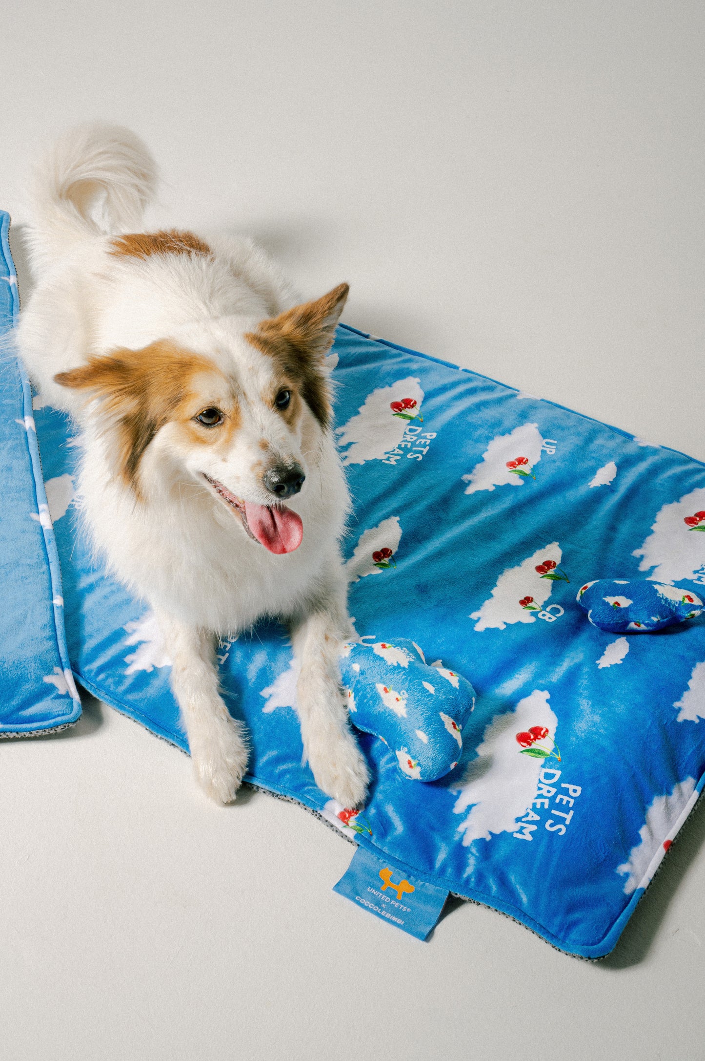 Pets Dream Big Cloud Toy for dog