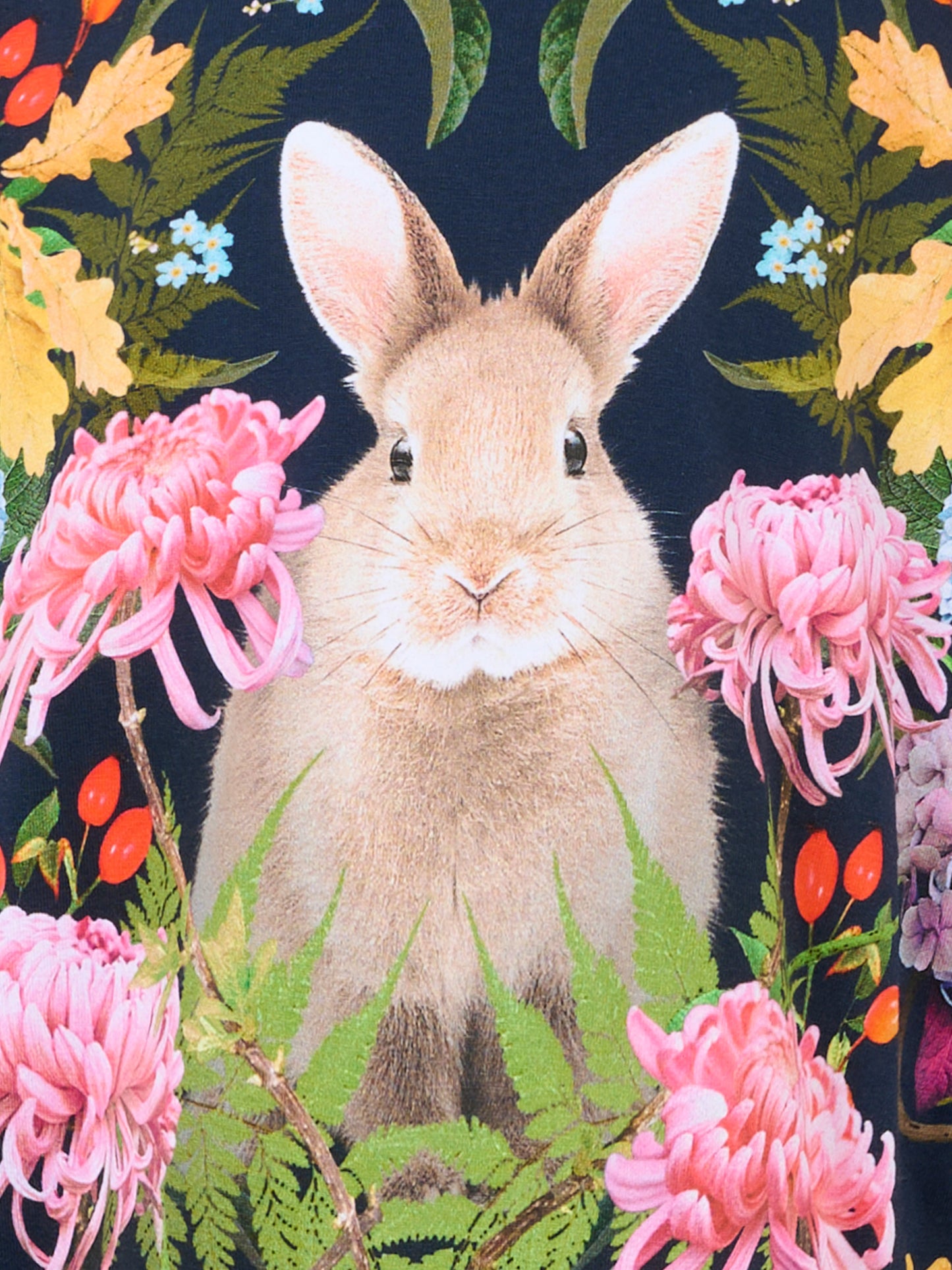 T-shirt Reniza blu per bambina con coniglio e fiori,Molo,2W25A405 4974