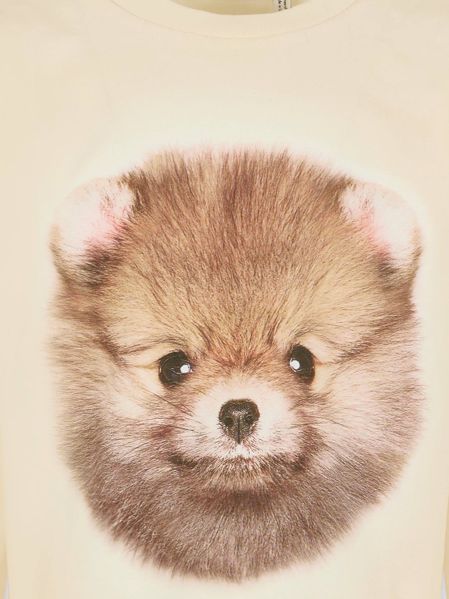 T-shirt Reniza beige per bambina con stampa cane,Molo,2W25A405 4980