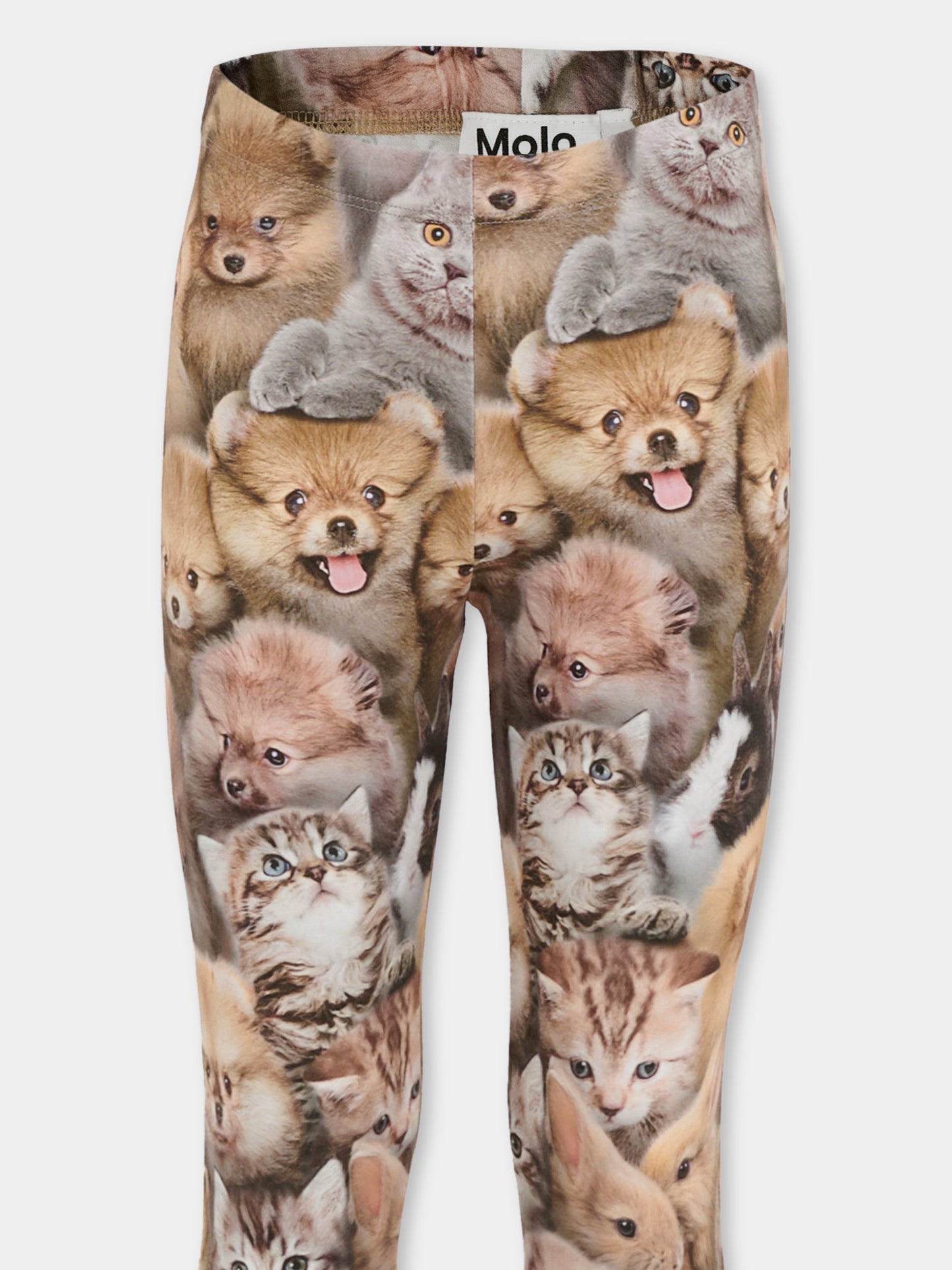 Leggings Niki marroni per bambina con animali all over,Molo,2W25F204 9377