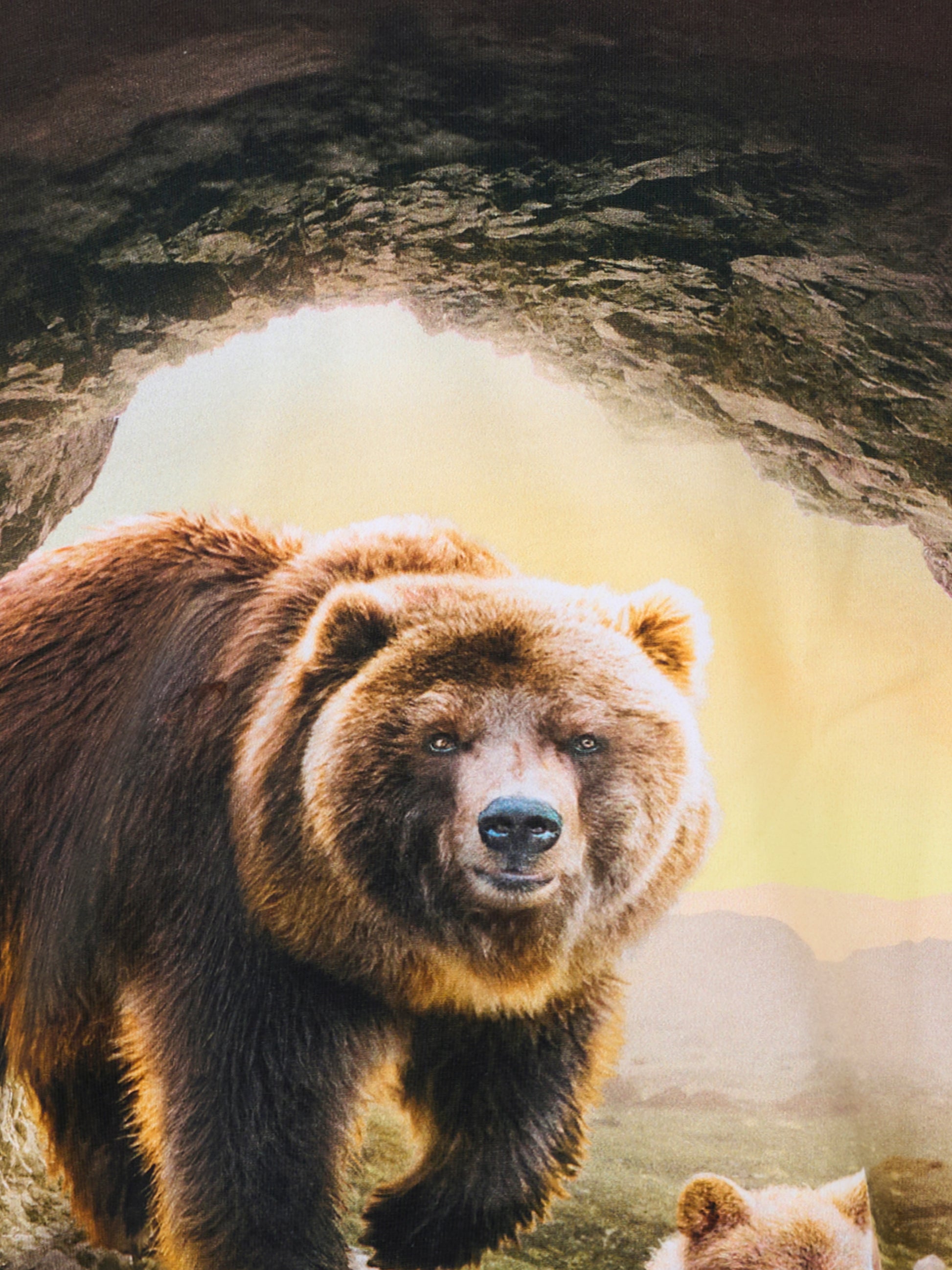 T-shirt Riley marrone per bambino con orsi,Molo,1W25A203 9640