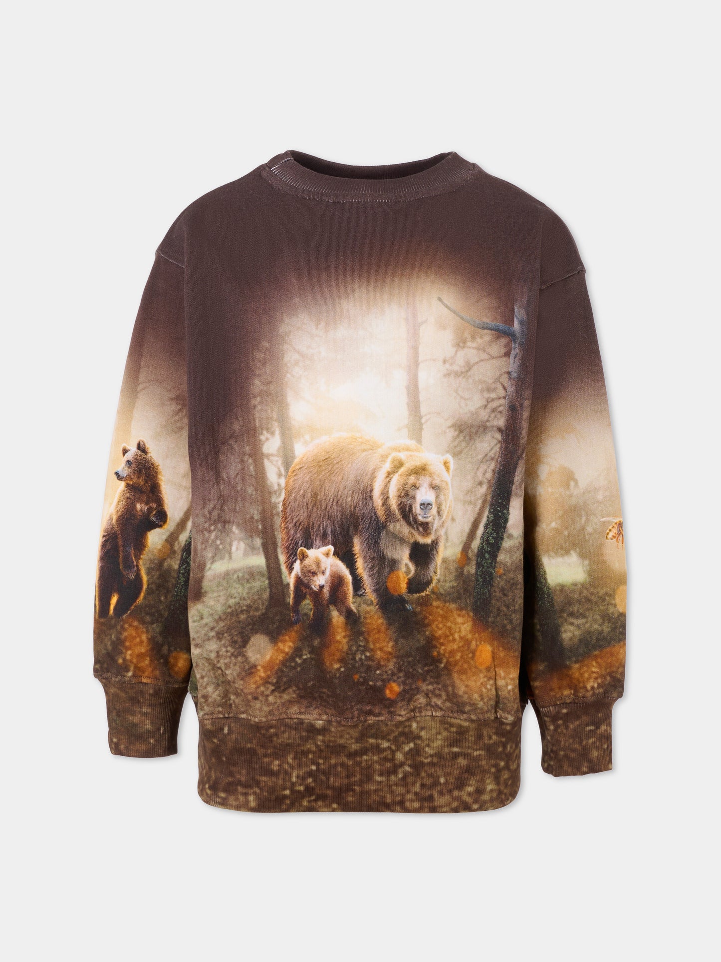 Felpa Mattis marrone per bambino con stampa orso,Molo,1W25J203 9657