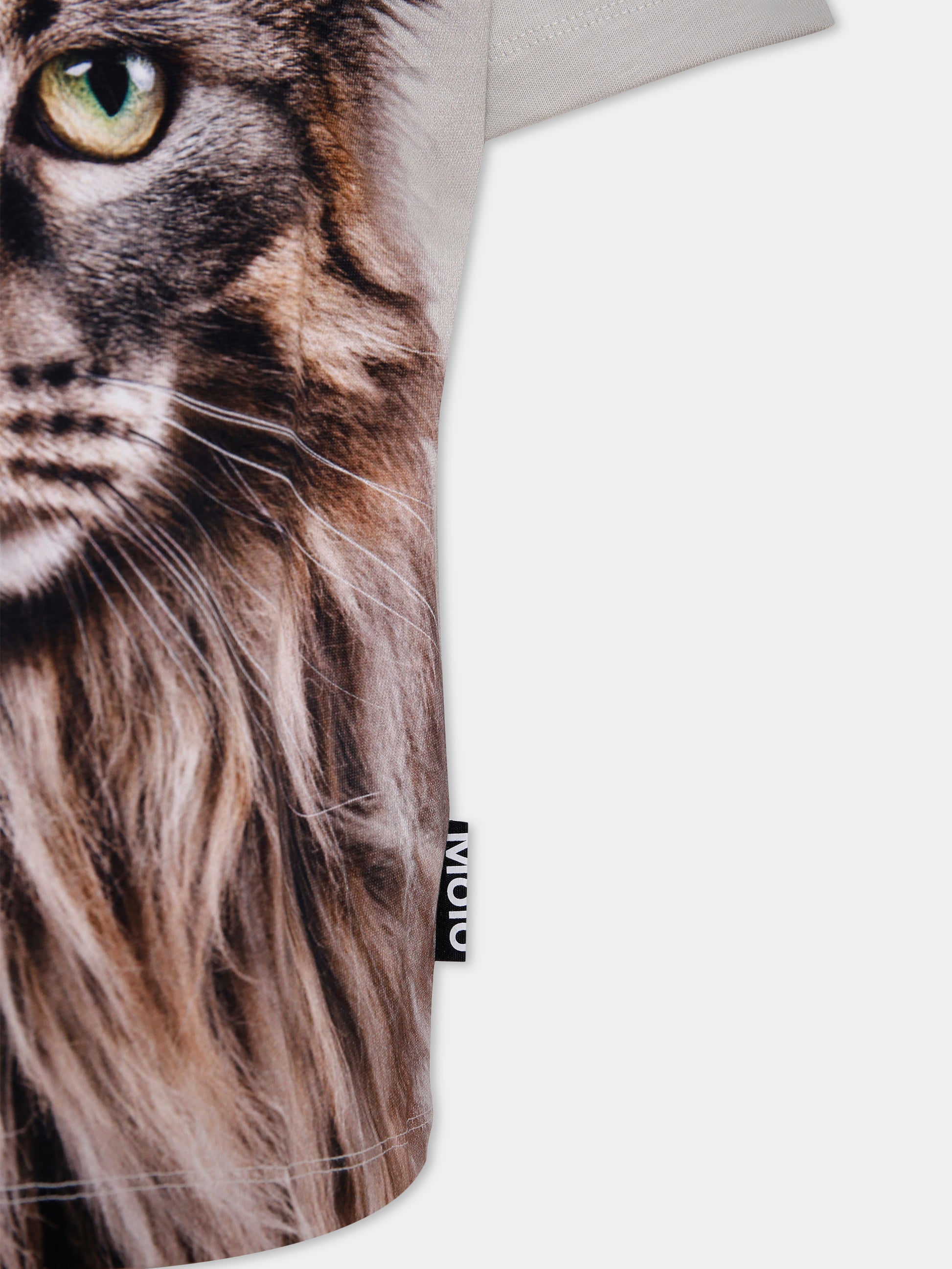 T-shirt Roxo beige per bambino con gatto,Molo,6W25A206 9654