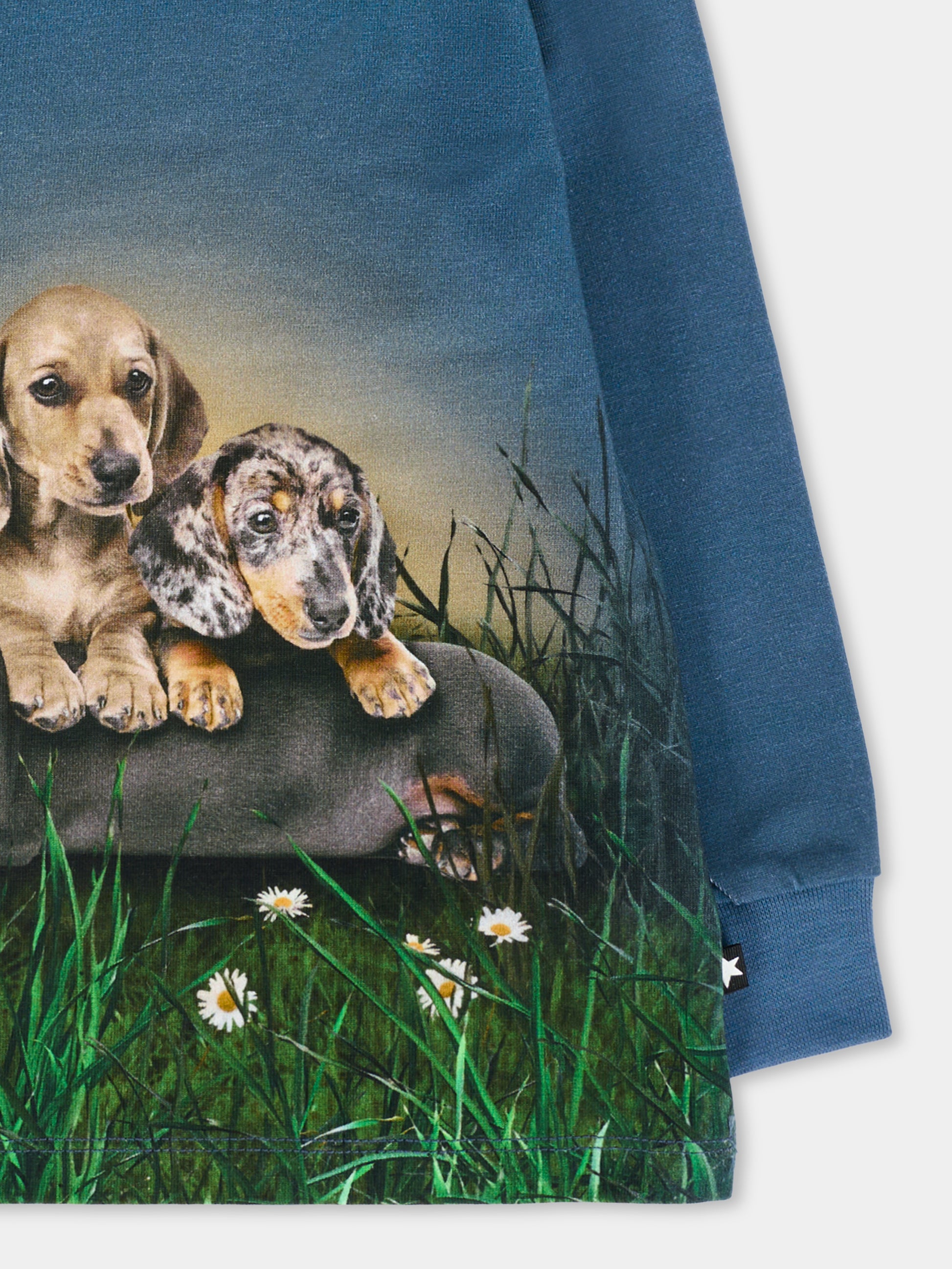 T-shirt Eloy blu per neonato con cani,Molo,6W25A404 9679