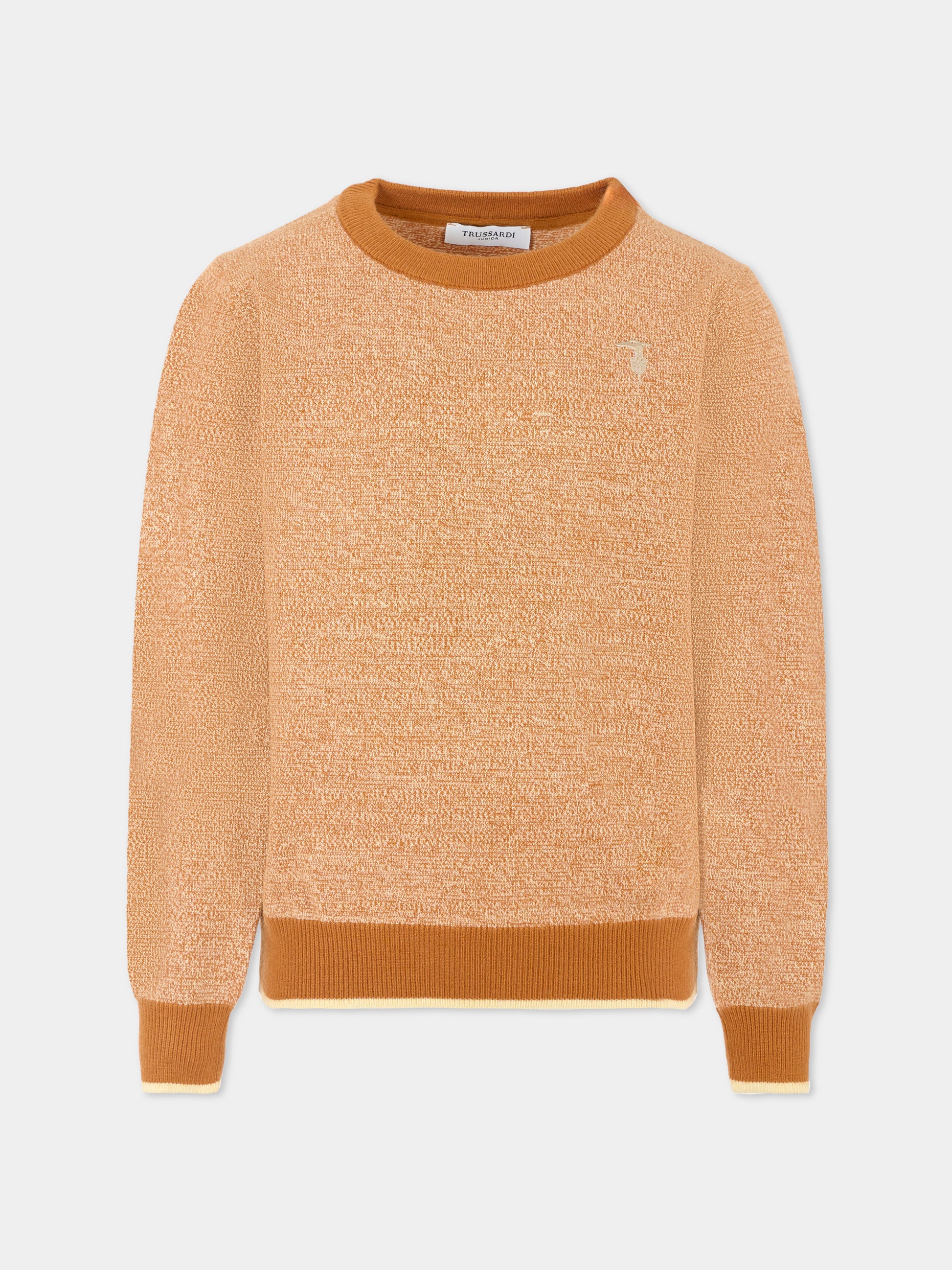 Maglione marrone per bambino con logo ricamato,Trussardi Junior,TBA25049MA ROASTED PECAN
