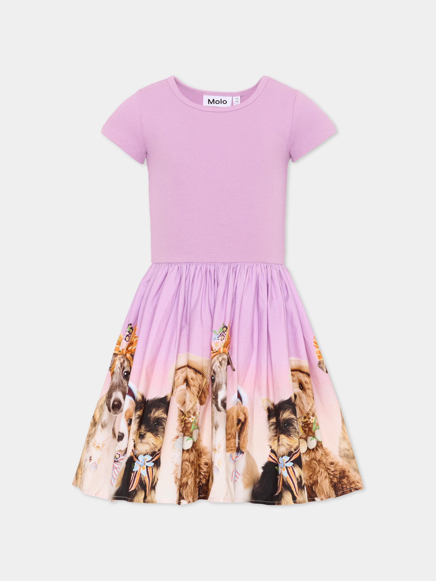 Vestito rosa Cissa per bambina con stampa cani,Molo,2S26E102 5698