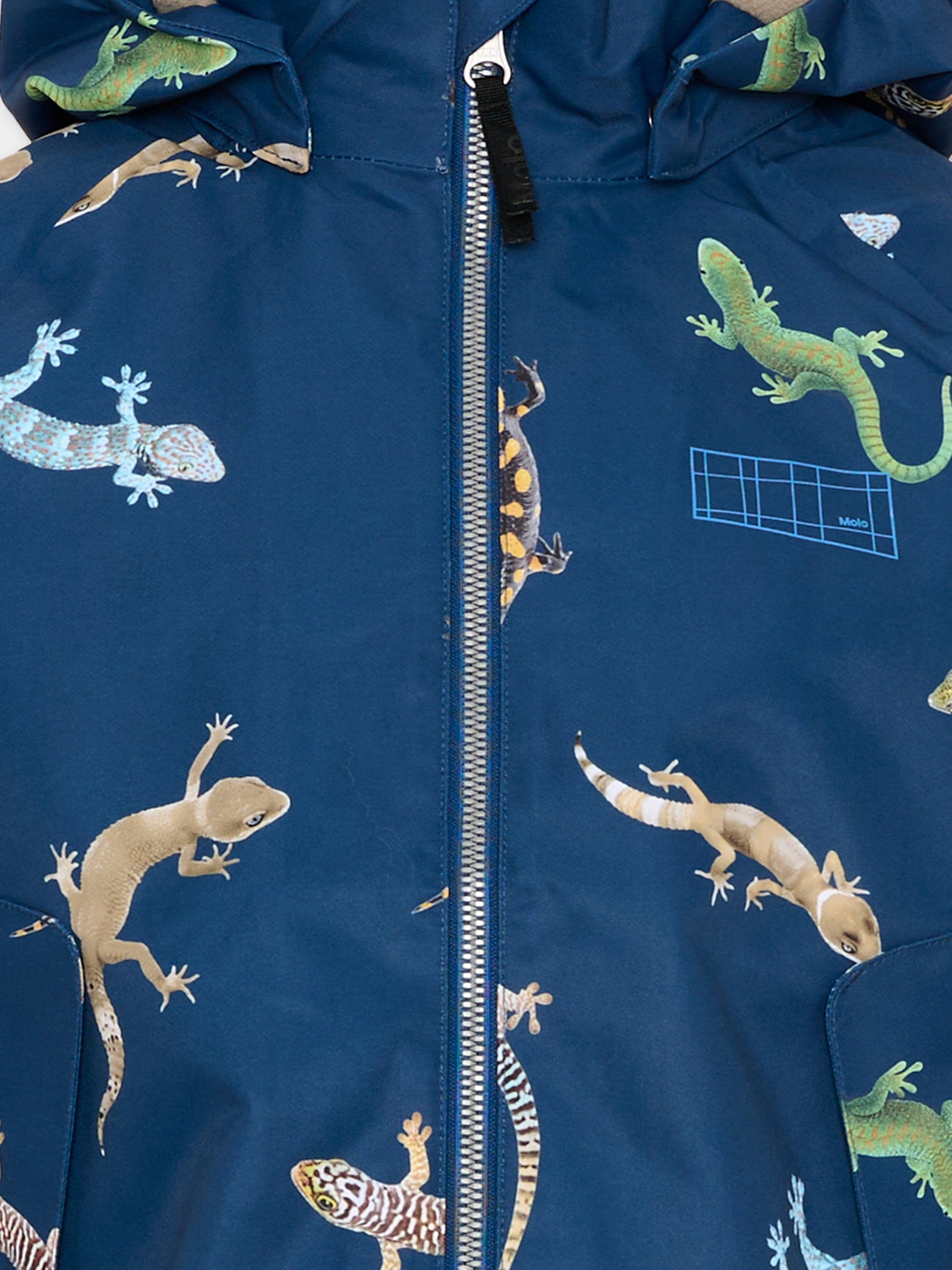 Giubbotto blu Hoplas per bambino con stampa lucertole,Molo,5S26M316 9483
