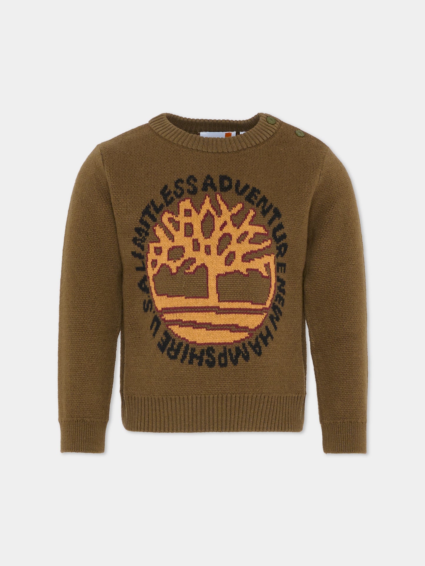 Maglione verde per bambino con logo e albero,Timberland,T60263 64J