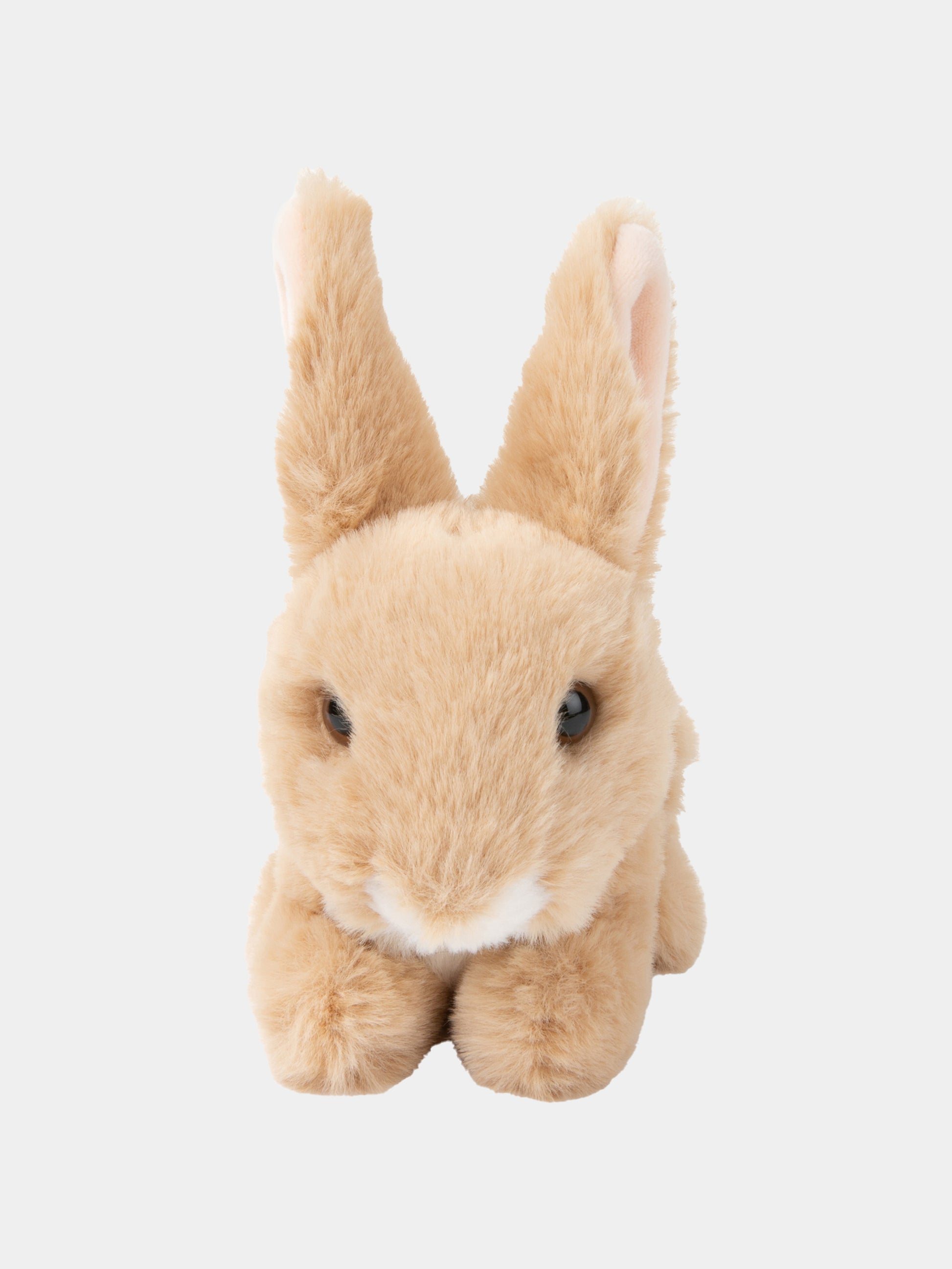 WWF Eco Coniglio beige per bambini,Bon Ton Toys,15182013 WWF ECO RABBIT BEIGE