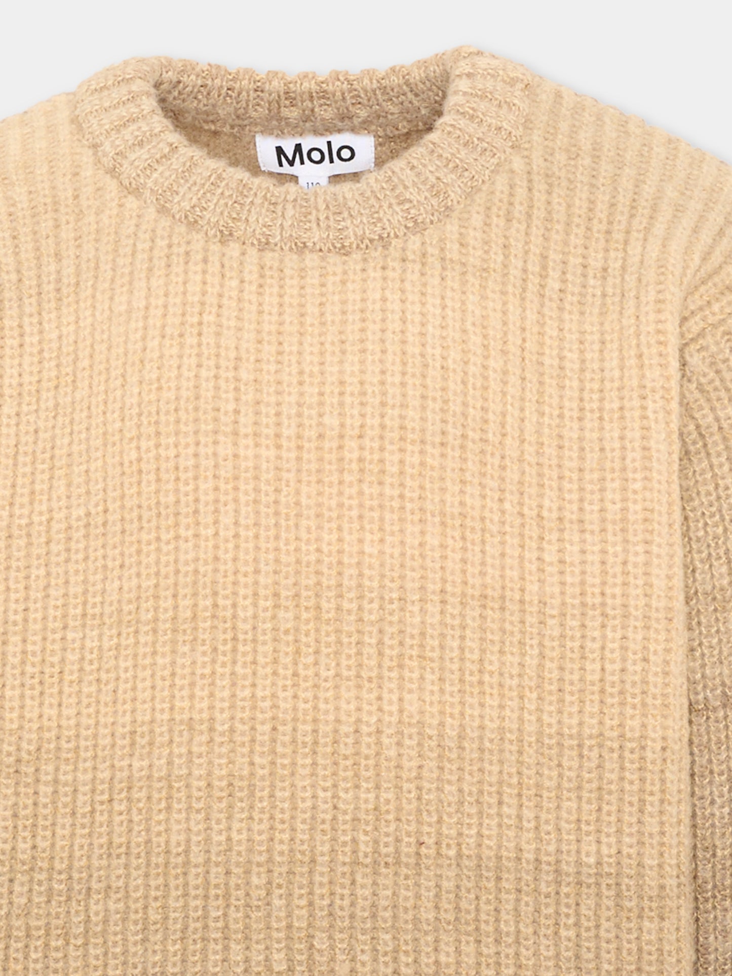 Maglione beige Bello per bambini sfumato,Molo,6W26K204 5957