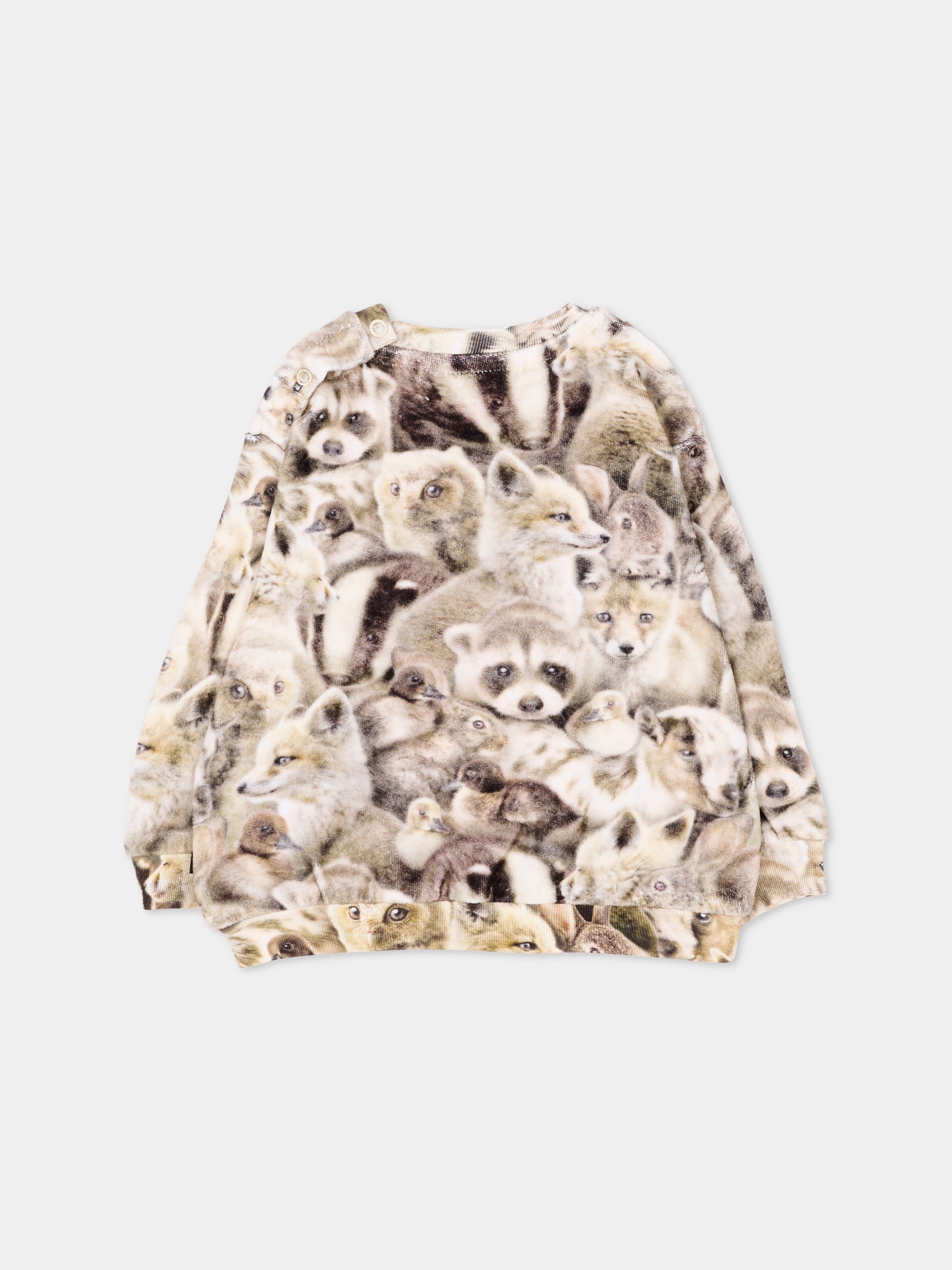 Felpa girocollo beige Dear per neonati con stampa,Molo,6W26J208 9756