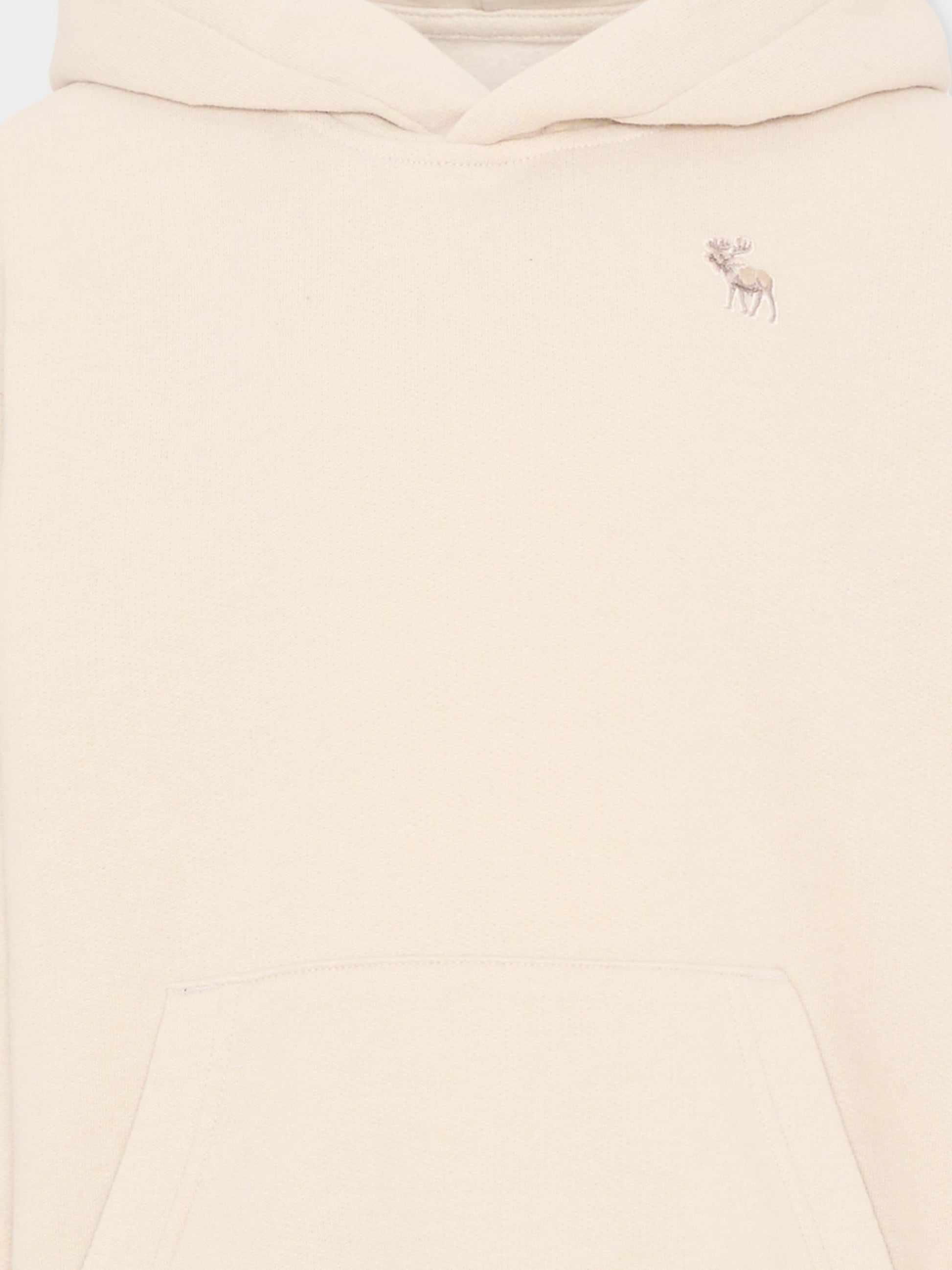 Felpa beige con cappuccio per bambini,Abercrombie & Fitch,93AF04 J95