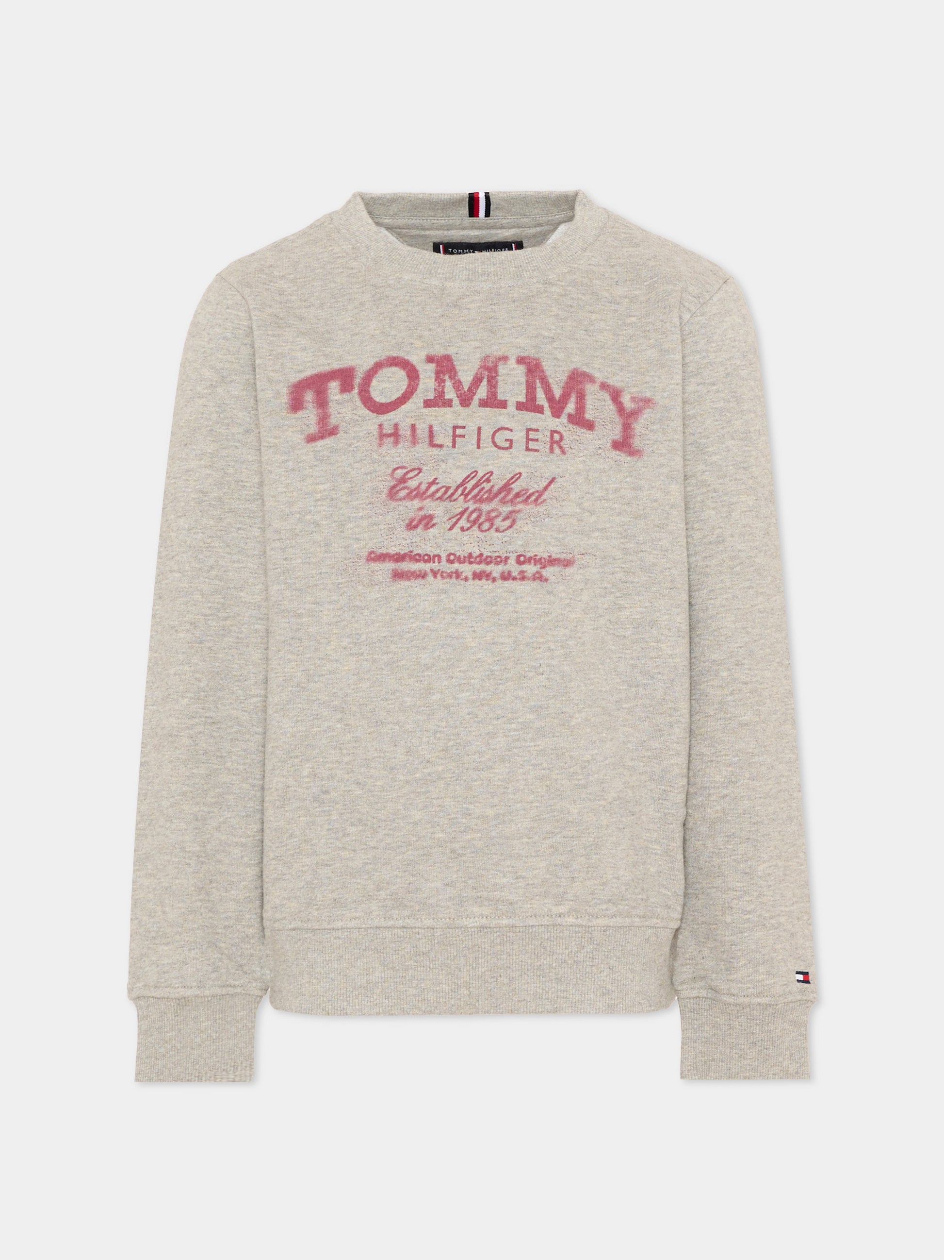Felpa grigia per bambino con logo,Tommy Hilfiger Junior,KB0KB10337 A1G