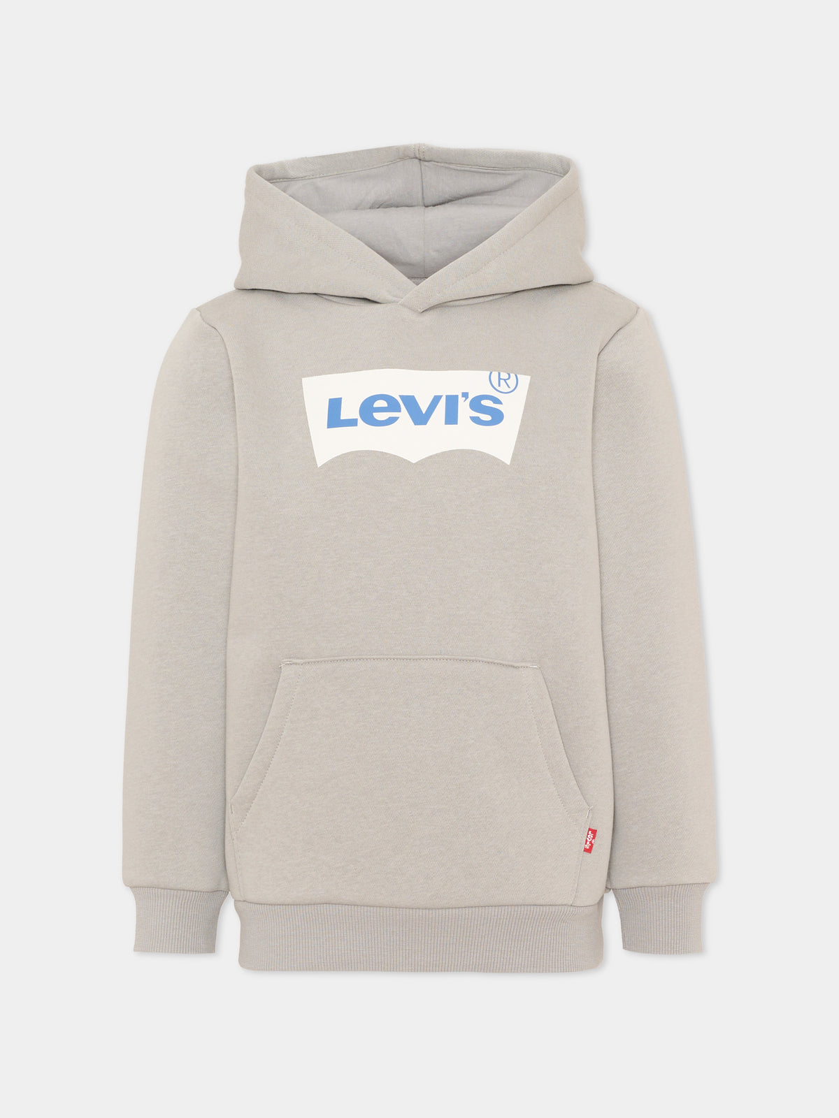 Felpa con cappuccio grigia per bambino,Levi's Kids,8E8778 GKG