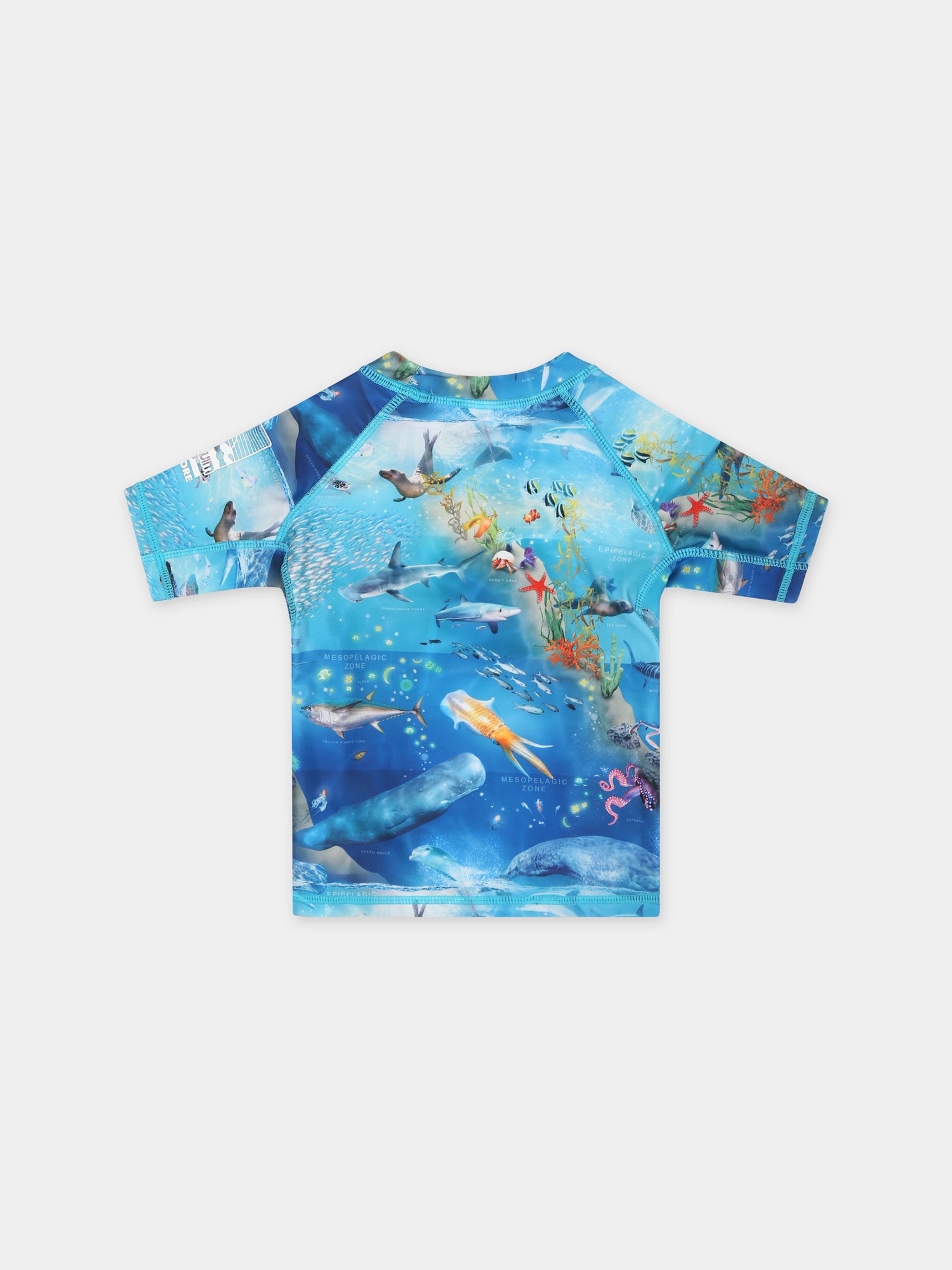 T-shirt anti UV azzurra per neonato con animali marini,Molo,8S24P203 9001