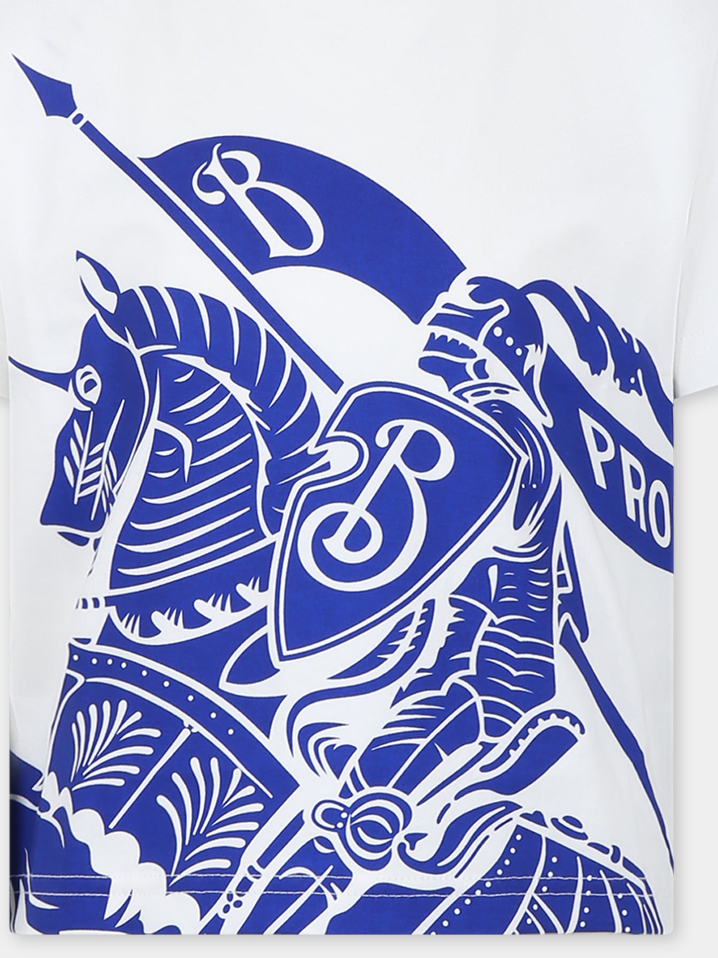T-shirt bianca per bambina con stampa,Burberry Kids,8078324 B7347