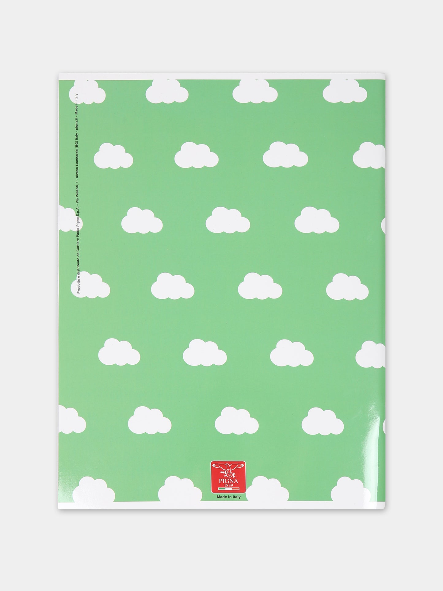 Quaderni Pigna x Cocccolebimbi celeste e giallo,Pigna X Coccolebimbi,ROSA E VERDE