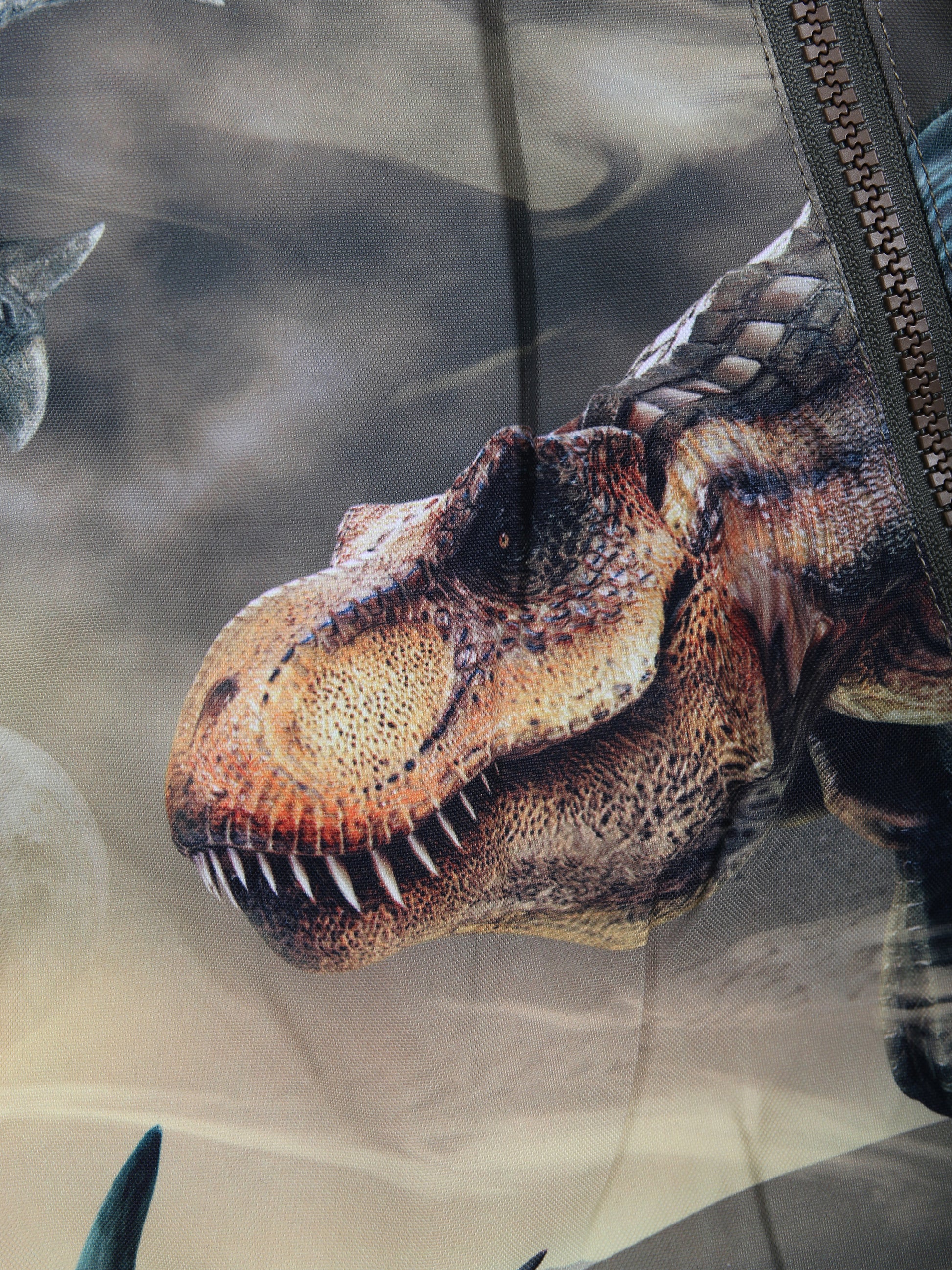 Tuta da neve multicolor per bambino con stampa e logo,Molo,5W23N104 6848