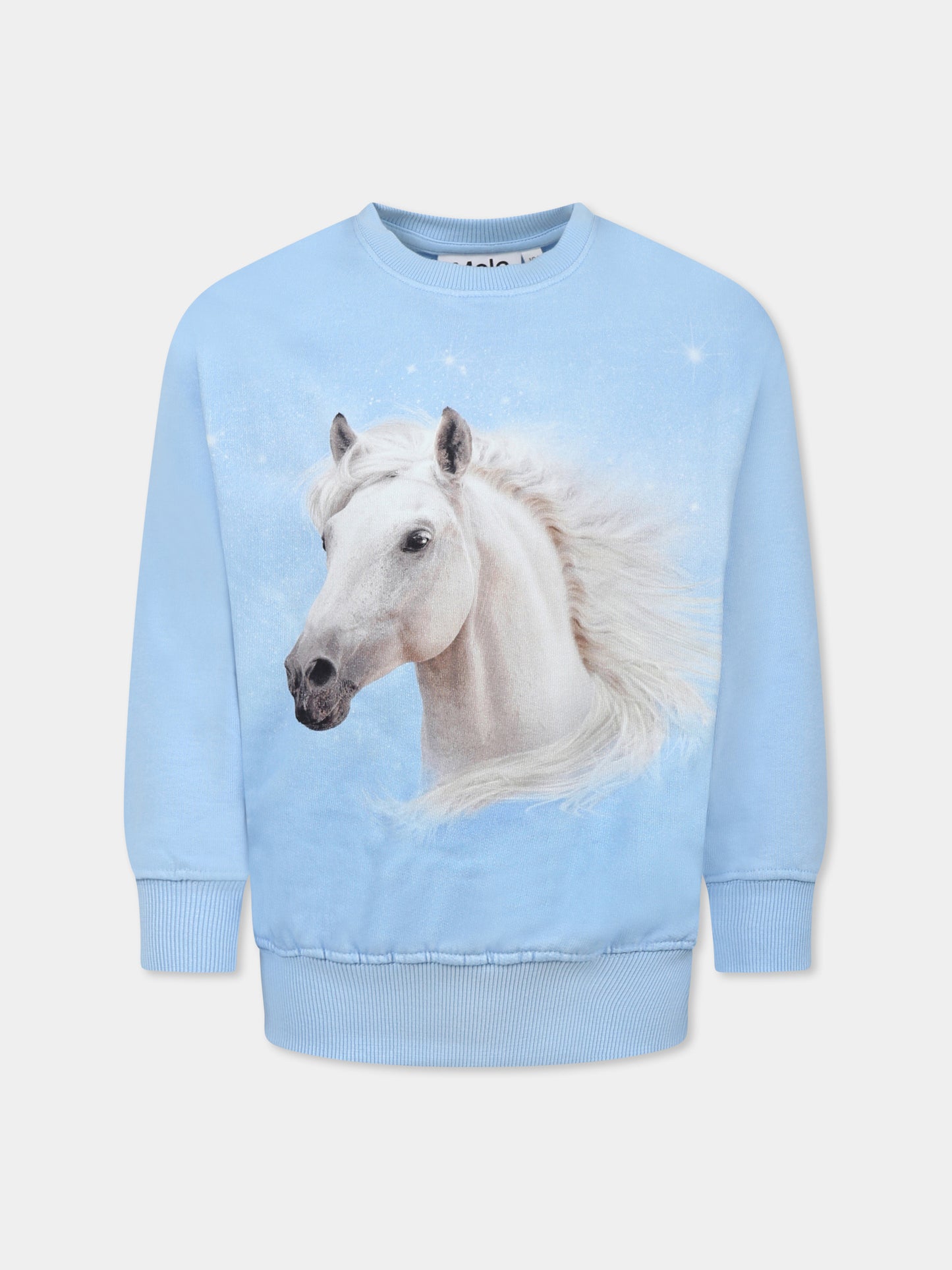 Light blue sweatshirt for girl with horse print