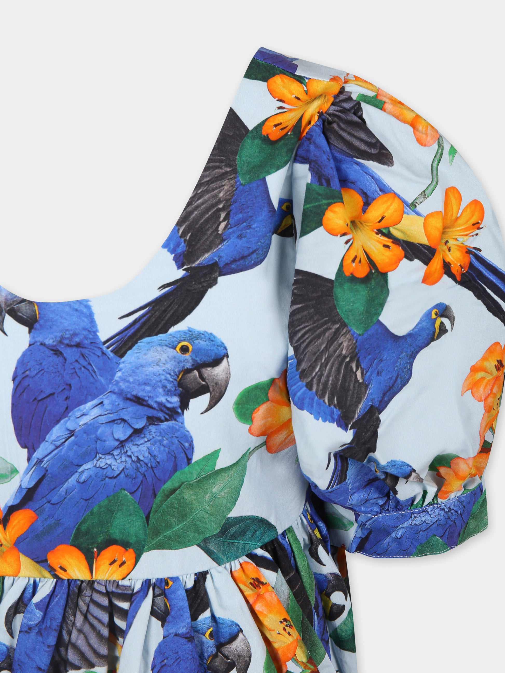 Vestito Camilo celeste per bambina con pappagalli e fiori,Molo,2S25E118 9266