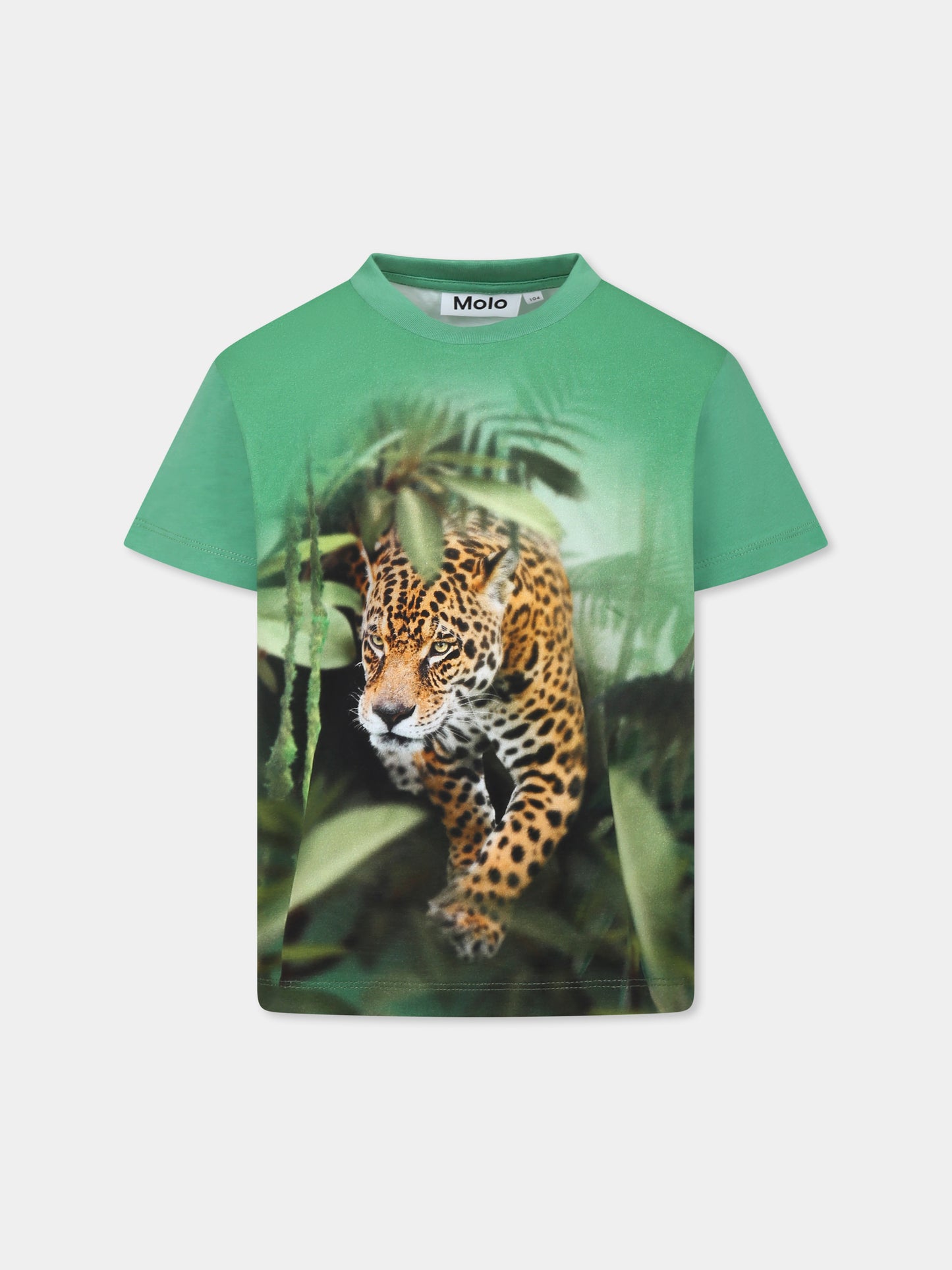 Green t-shirt for boy with dinosaur print