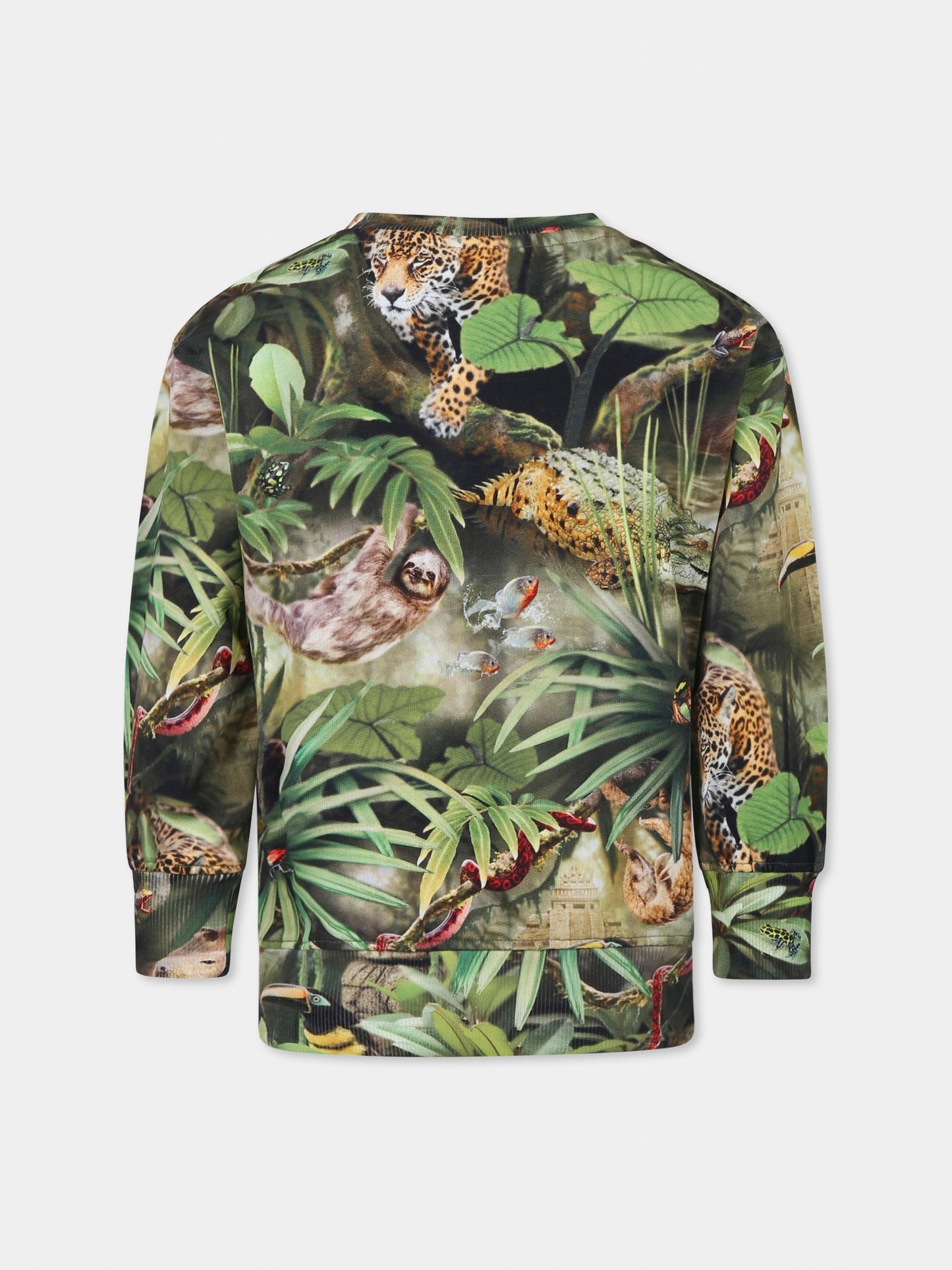 Felpa Mattis verde per bambino con animali della giungla,Molo,1S25J201 9290