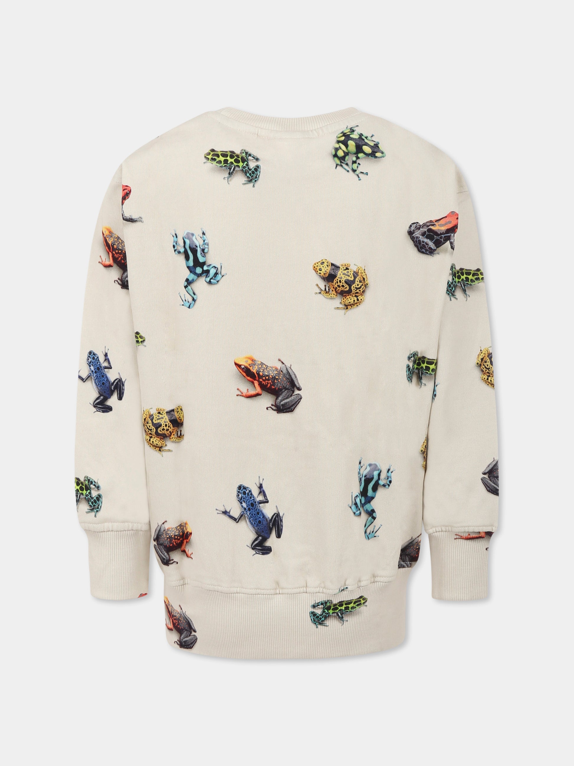 Felpa Mattis avorio per bambini con rane all-over,Molo,1S25J201 9311