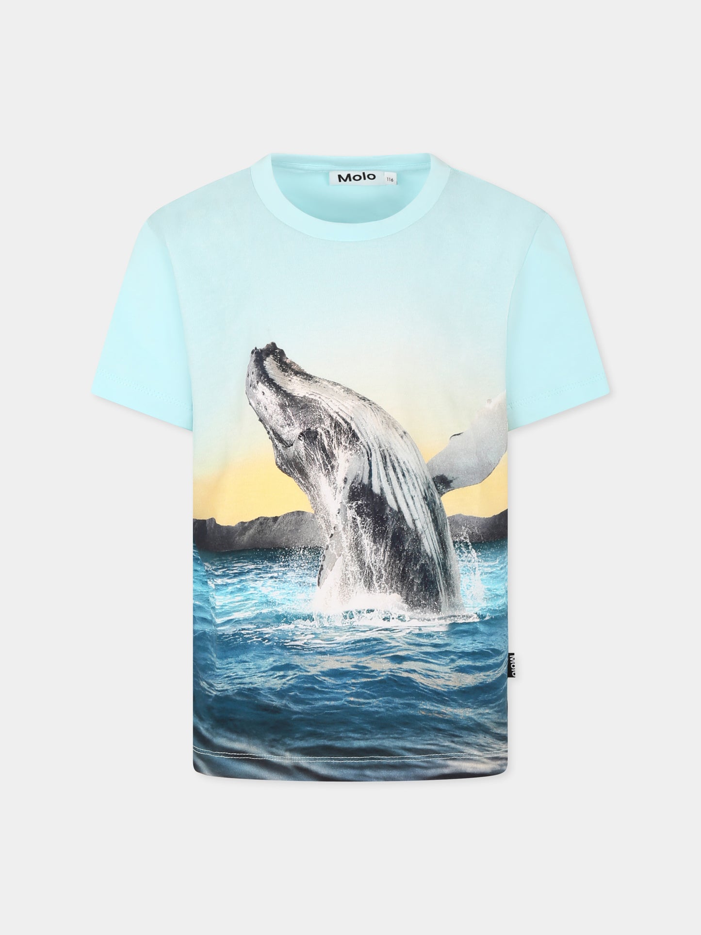 T-shirt Rame celeste per bambino con balena,Molo,1S25A212 3870
