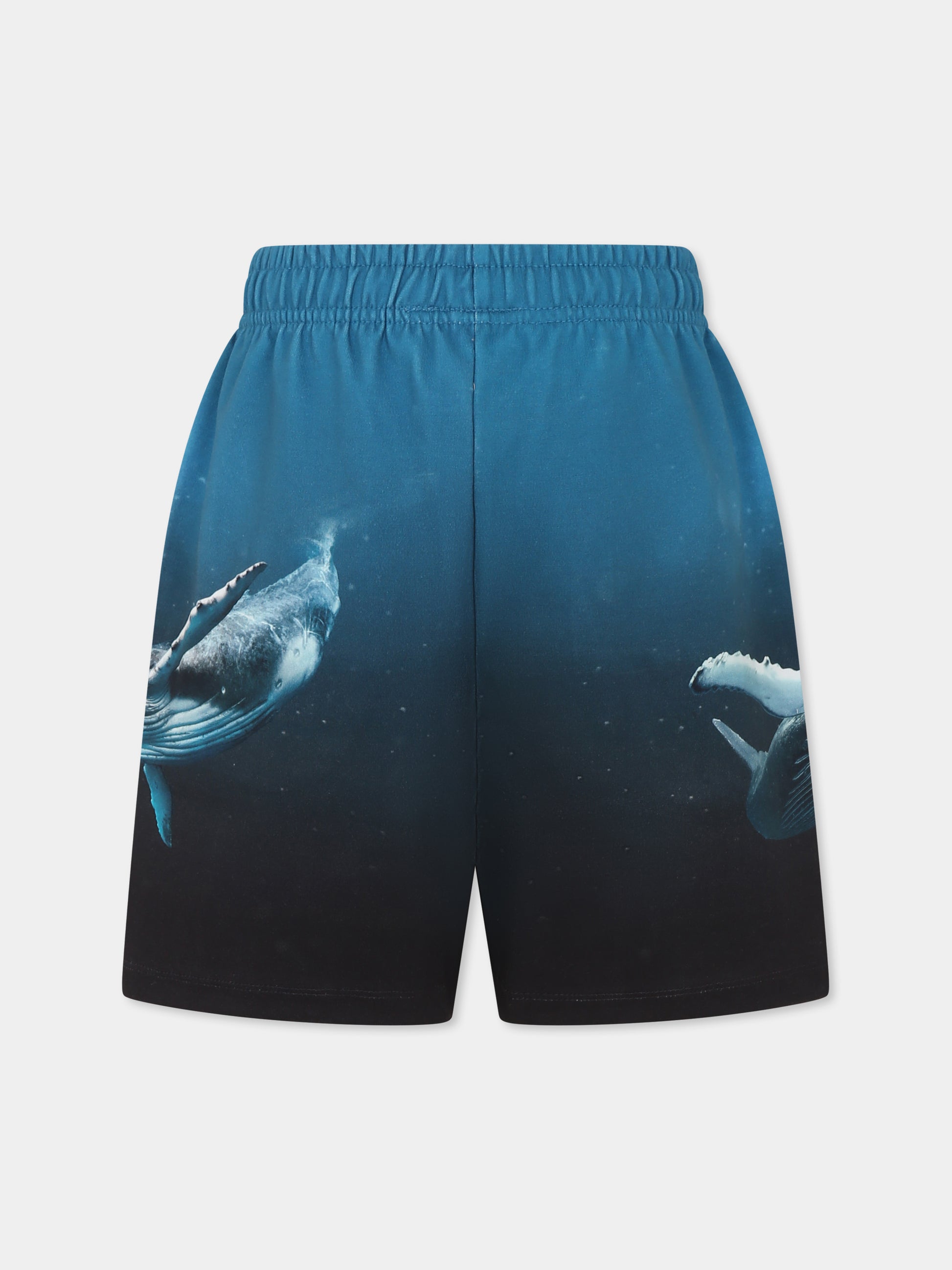 Shorts Amil azzurri per bambino con balena,Molo,1S25H207 3871