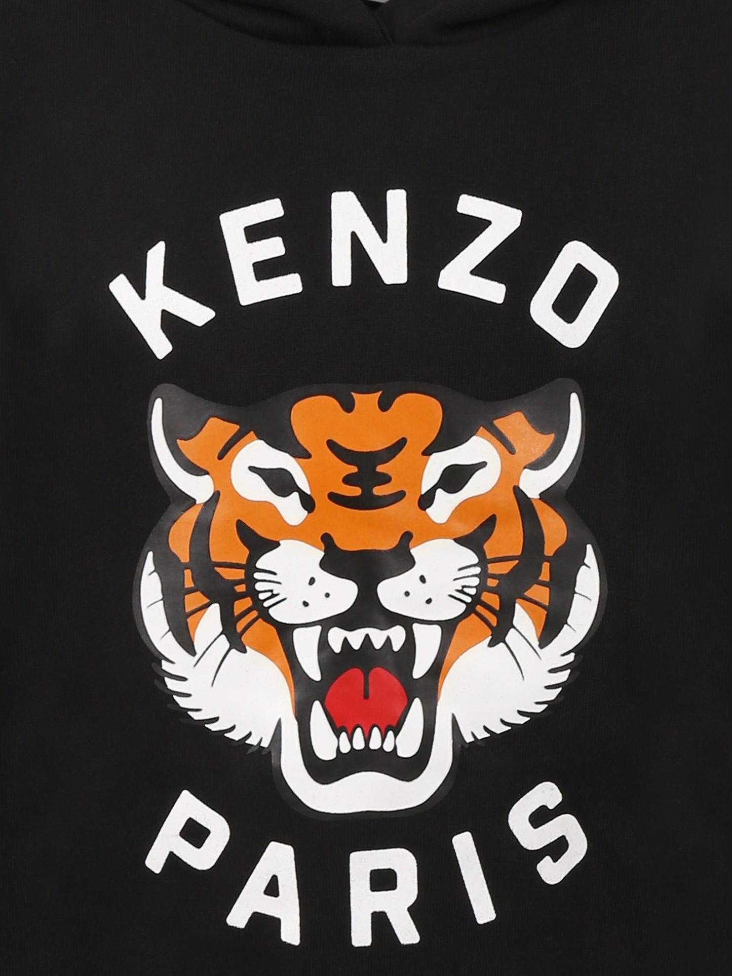 Felpa grigia per bambini con Lucky Tiger,Kenzo Kids,K61124 095