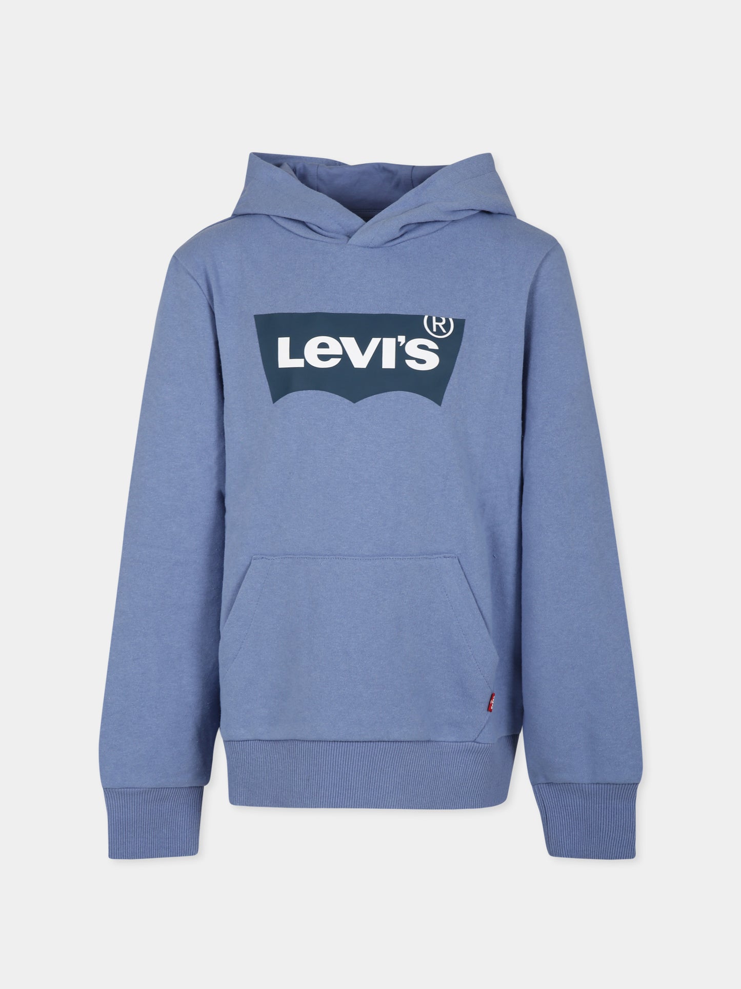 Felpa celeste per bambino con logo bianco,Levi's Kids,LK9EE910 B1W