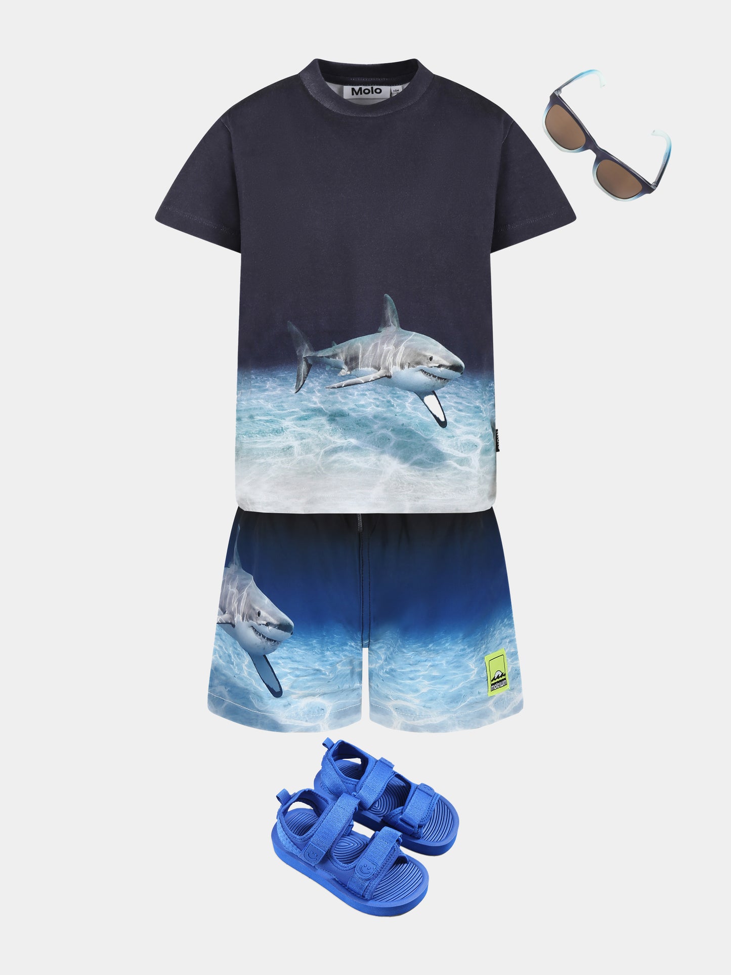 Blue t-shirt for boy with shark print