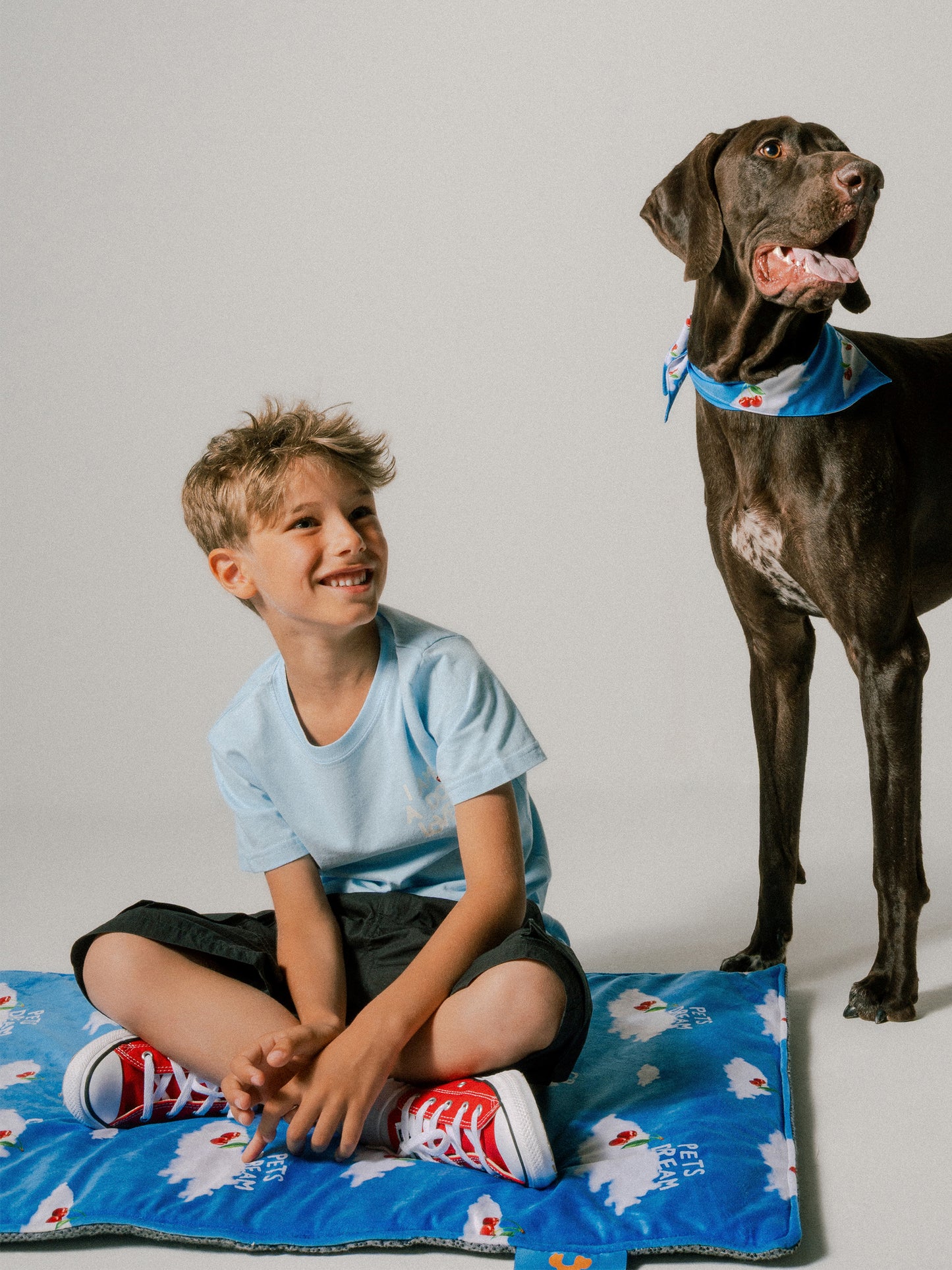 Pets Dream Floor Mat for dog