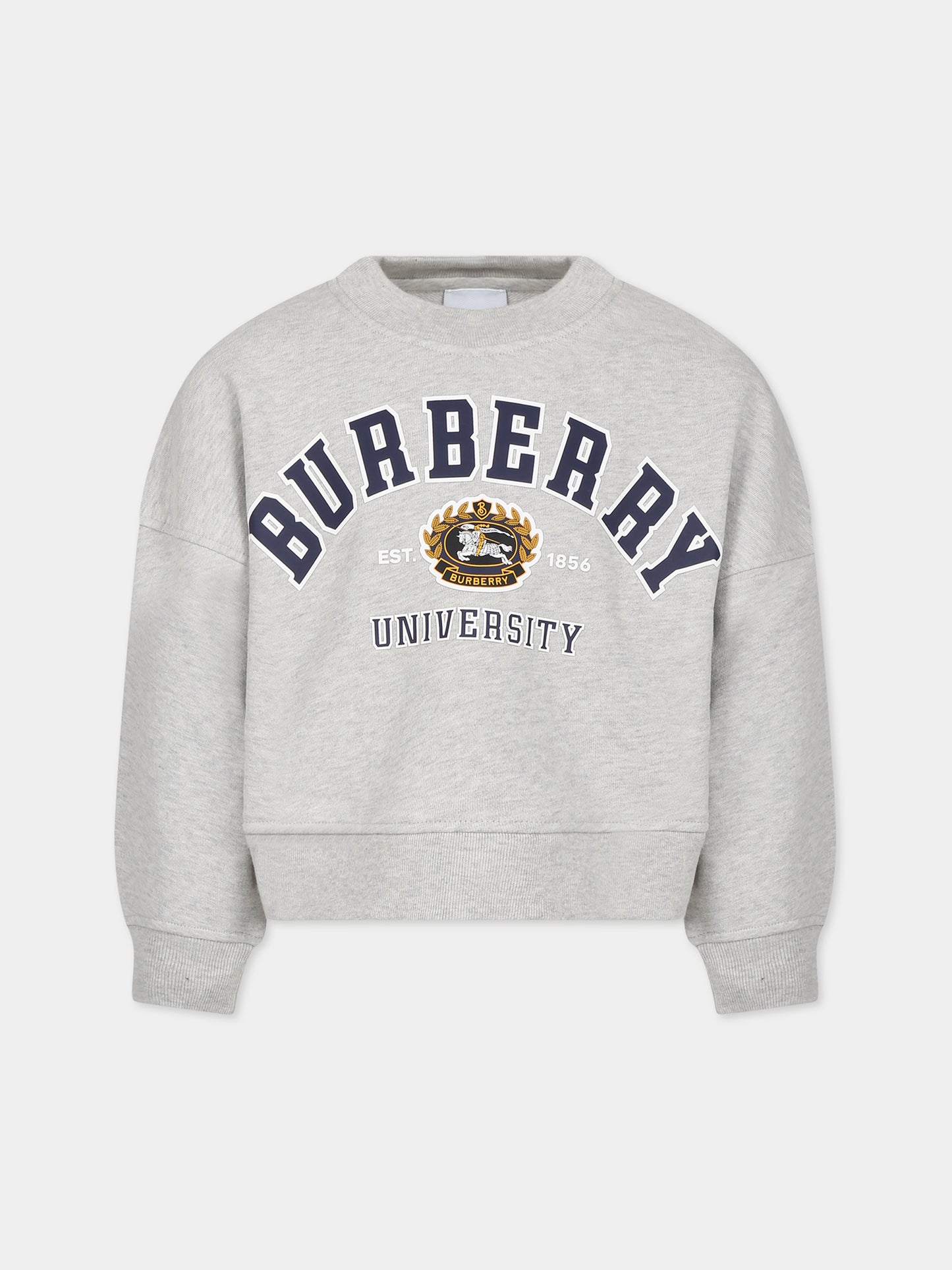 Felpa grigia per bambini con logo e stampa,Burberry Kids,8068596