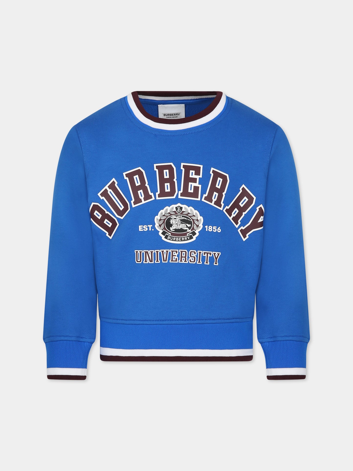 Felpa azzurra per bambino con logo e stampa,Burberry Kids,8069184
