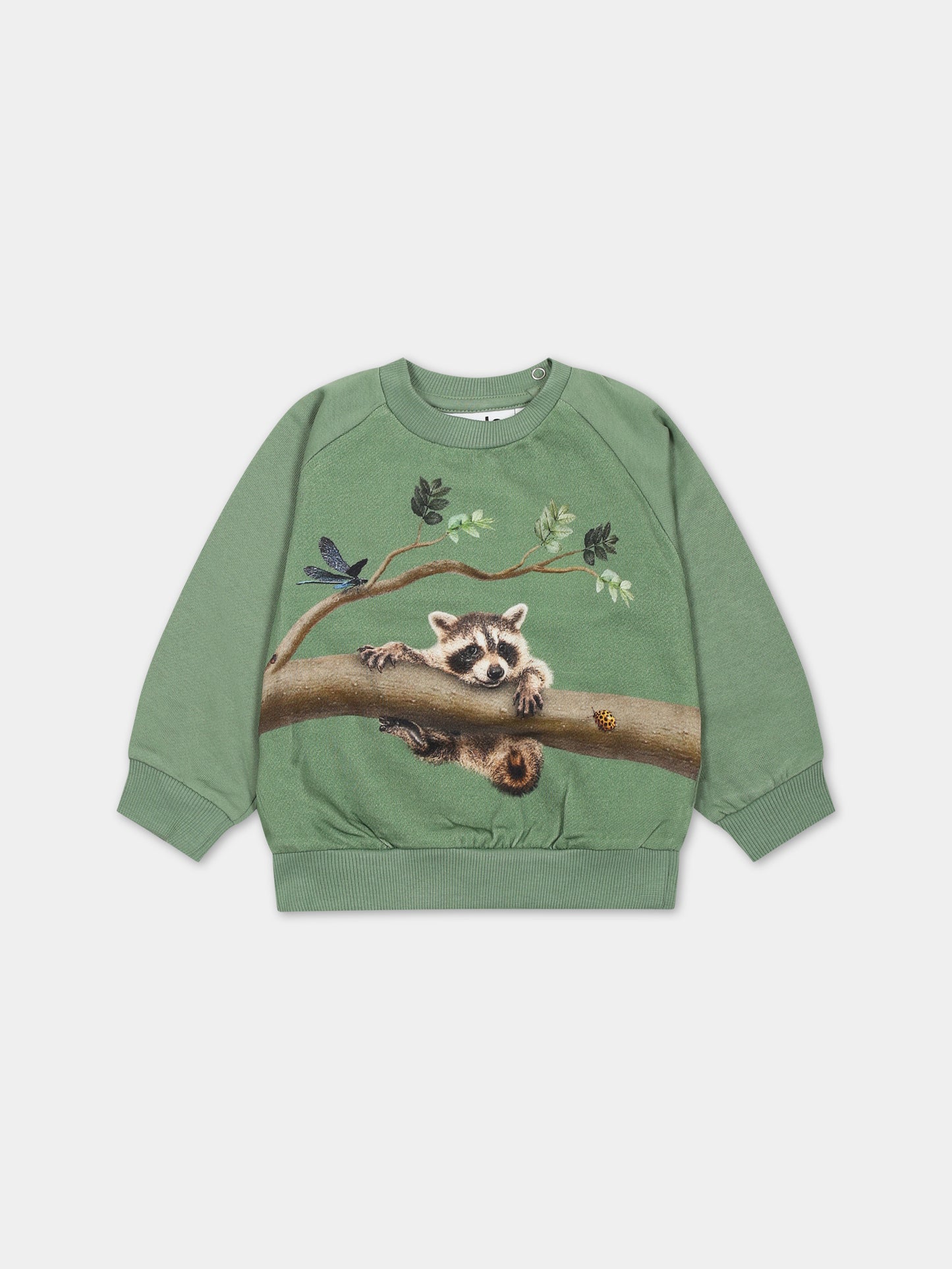 Felpa verde per neonati con animali,Molo,6W23J208 3356