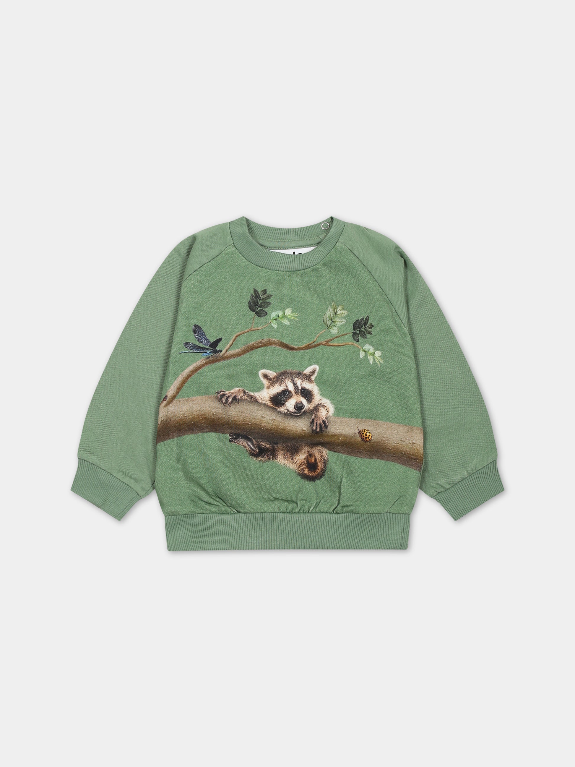 Felpa verde per neonati con animali,Molo,6W23J208 3356